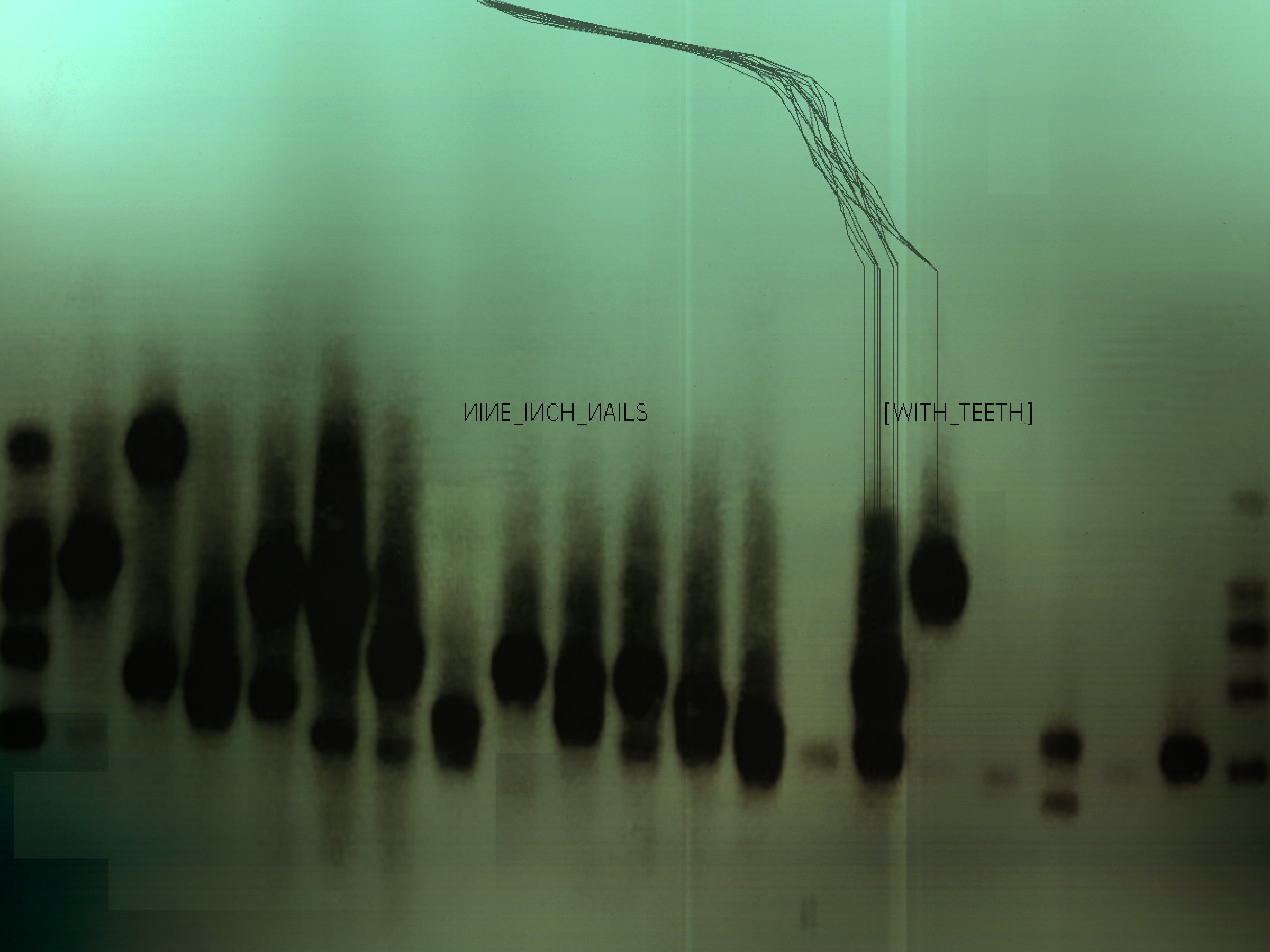 1080P, cover art, music, Nine Inch Nails, HD Wallpaper
