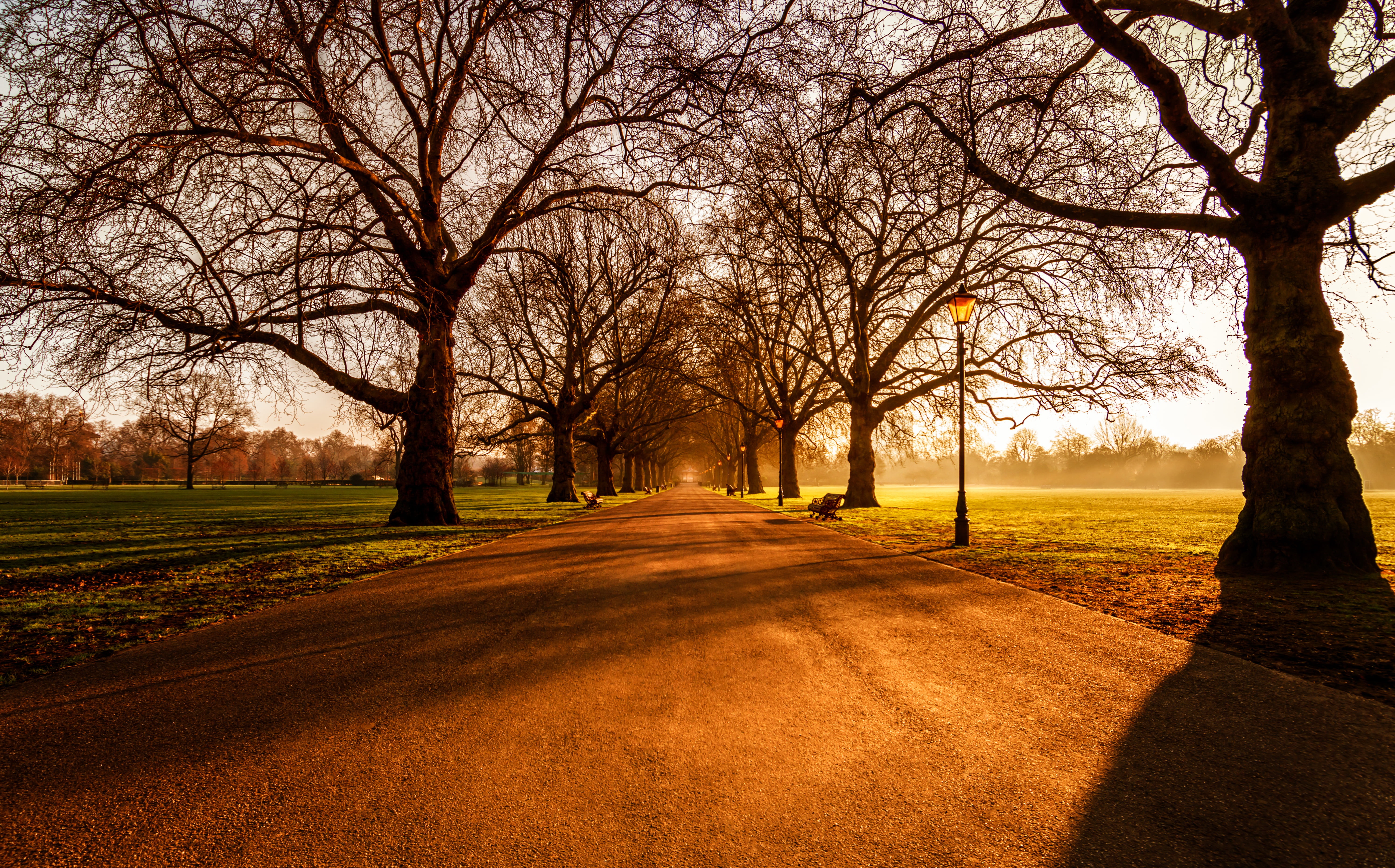 Battersea Park, 5K, London, Sunrise, HD Wallpaper