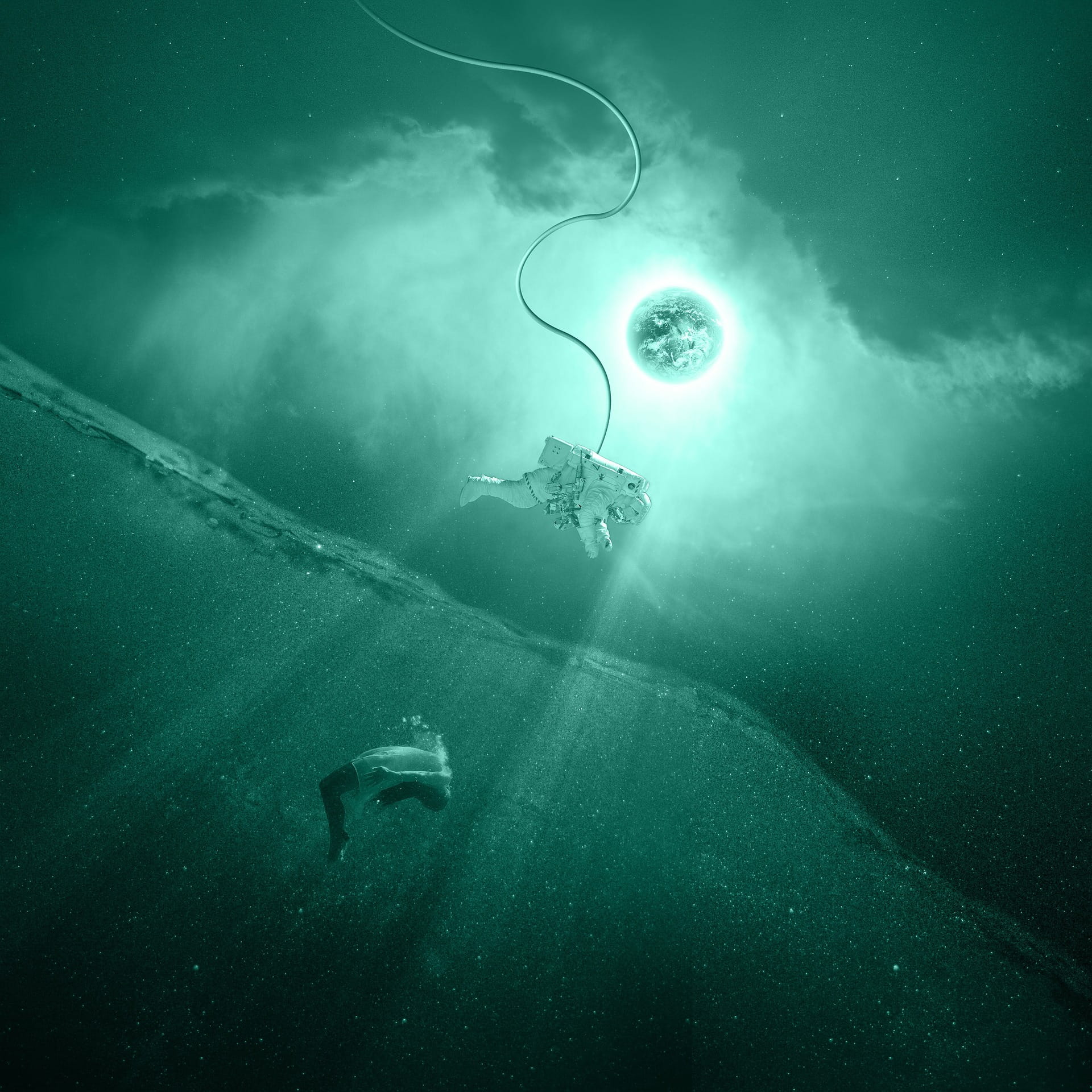 animals in the wild, swimming, undersea, water, drowning, girl, animal wildlife, 1080P, planet, no people, outdoors, space, nautical vessel, mission, marine, Phone HD Wallpaper