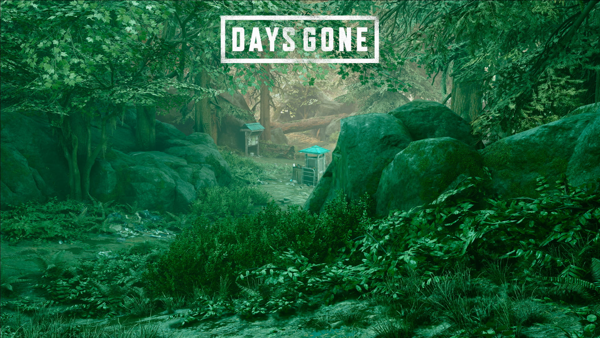 screen shot, 1080P, Deacon St John, Days Gone, HD Wallpaper