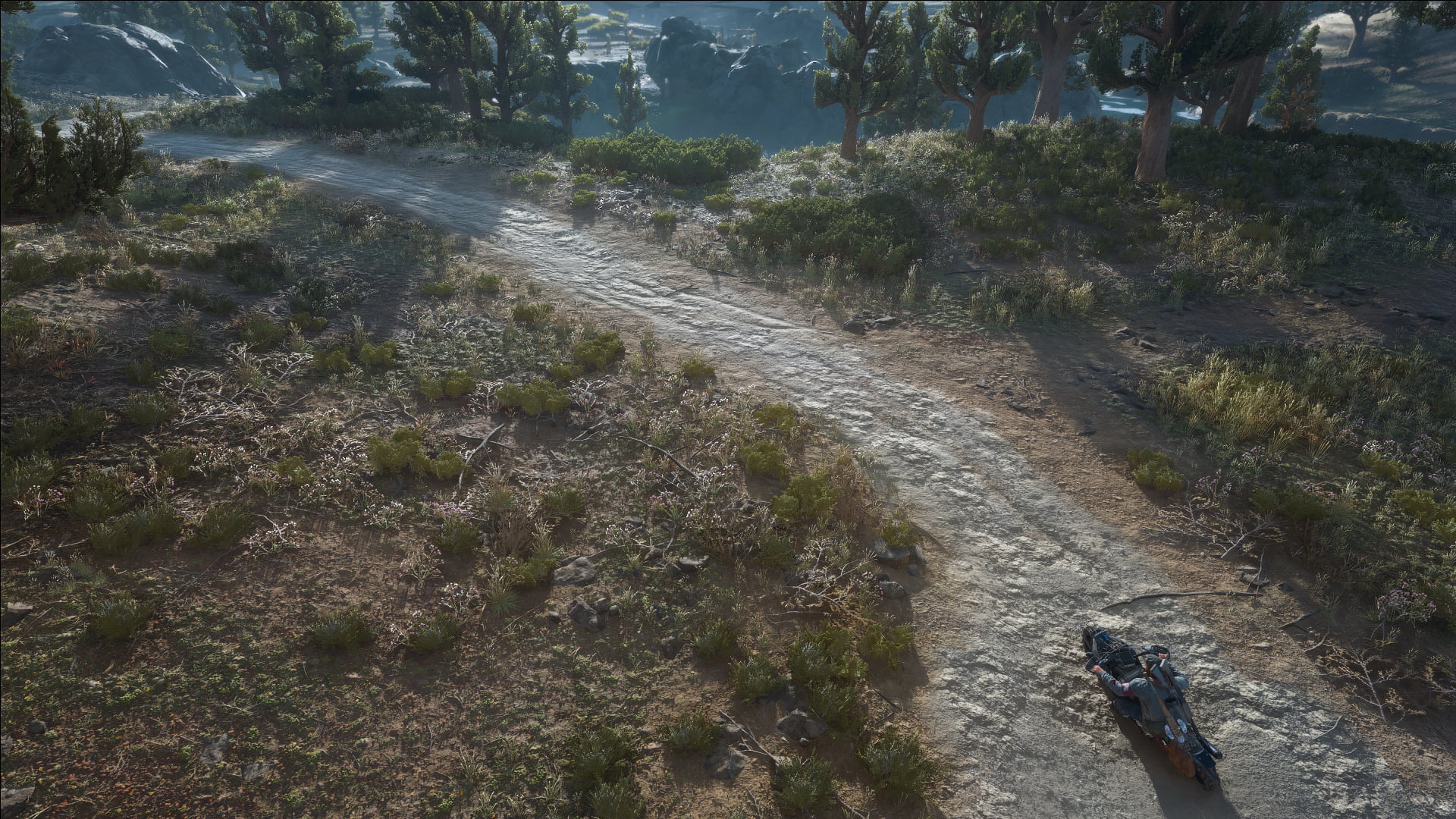 Days Gone, 1080P, Deacon St John, screen shot, HD Wallpaper