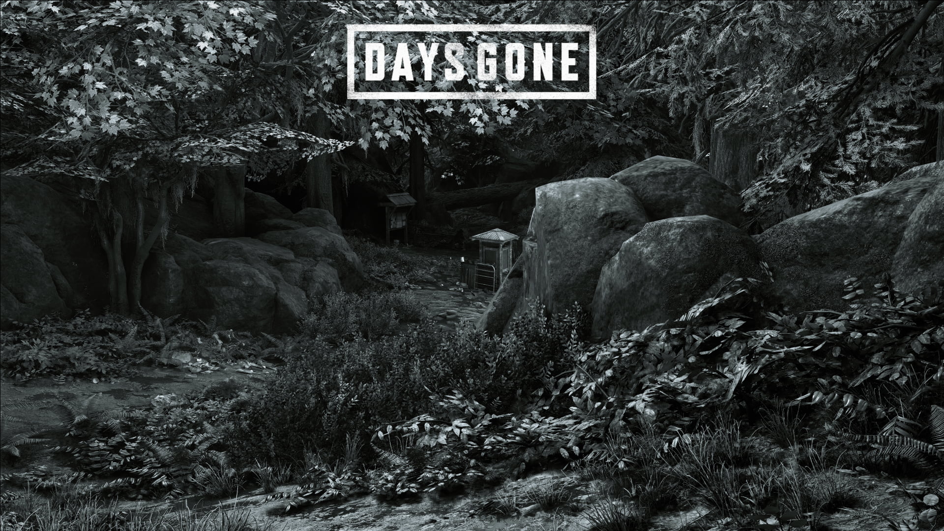 screen shot, 1080P, Days Gone, Deacon St John, HD Wallpaper