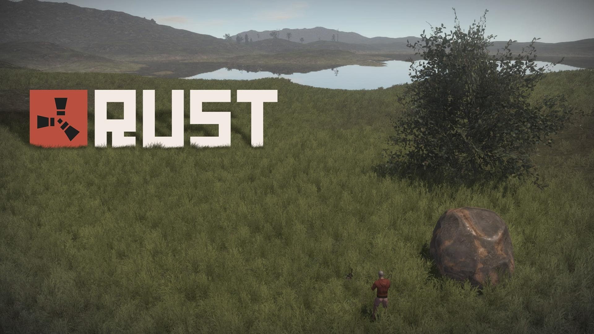 rust, video games, 1080P, hd, HD Wallpaper