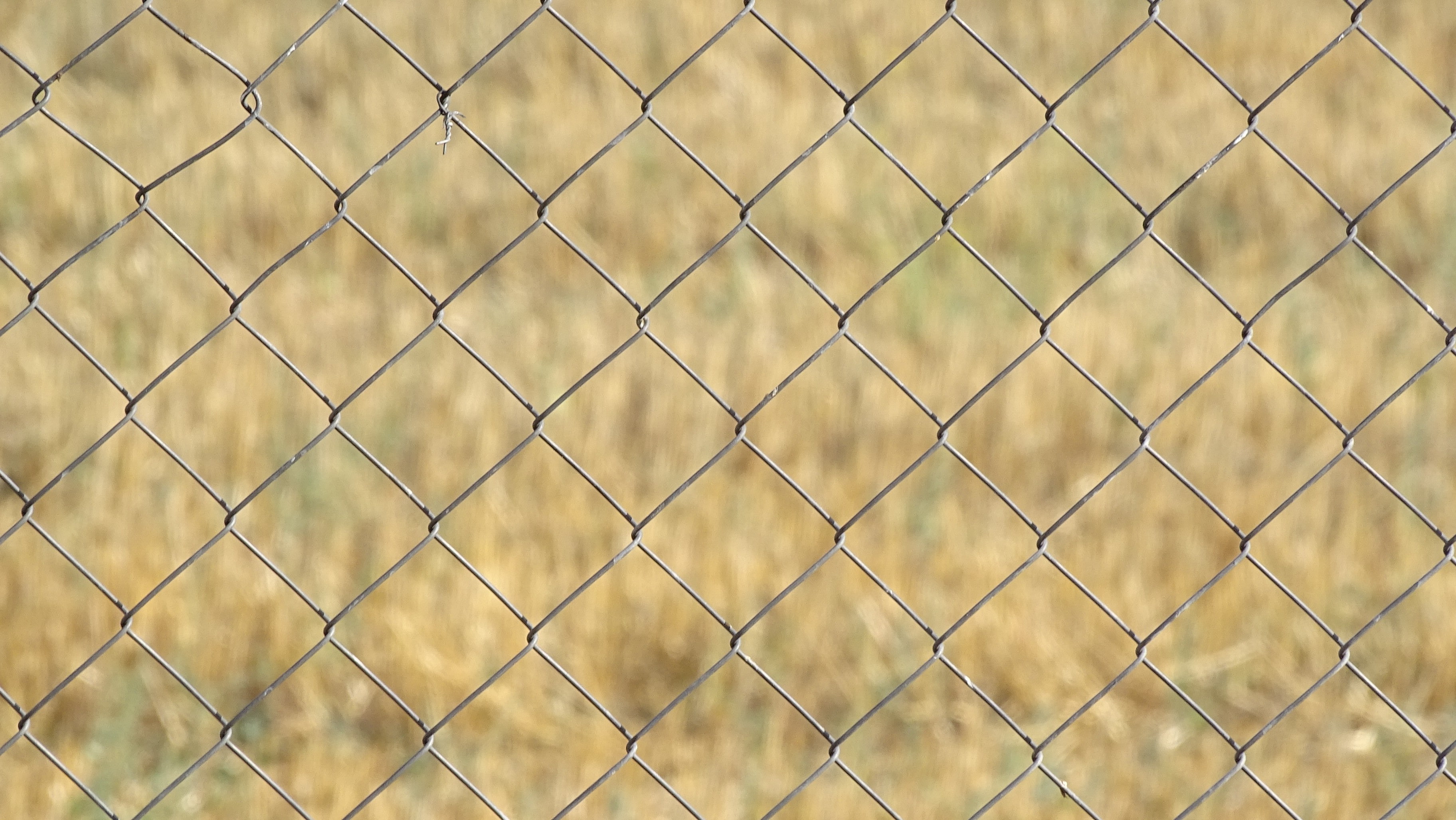 pattern, security, built structure, close-up, focus on foreground, backgrounds, outdoors, day, crisscross, barrier, chainlink fence, nature, no people, HD Wallpaper