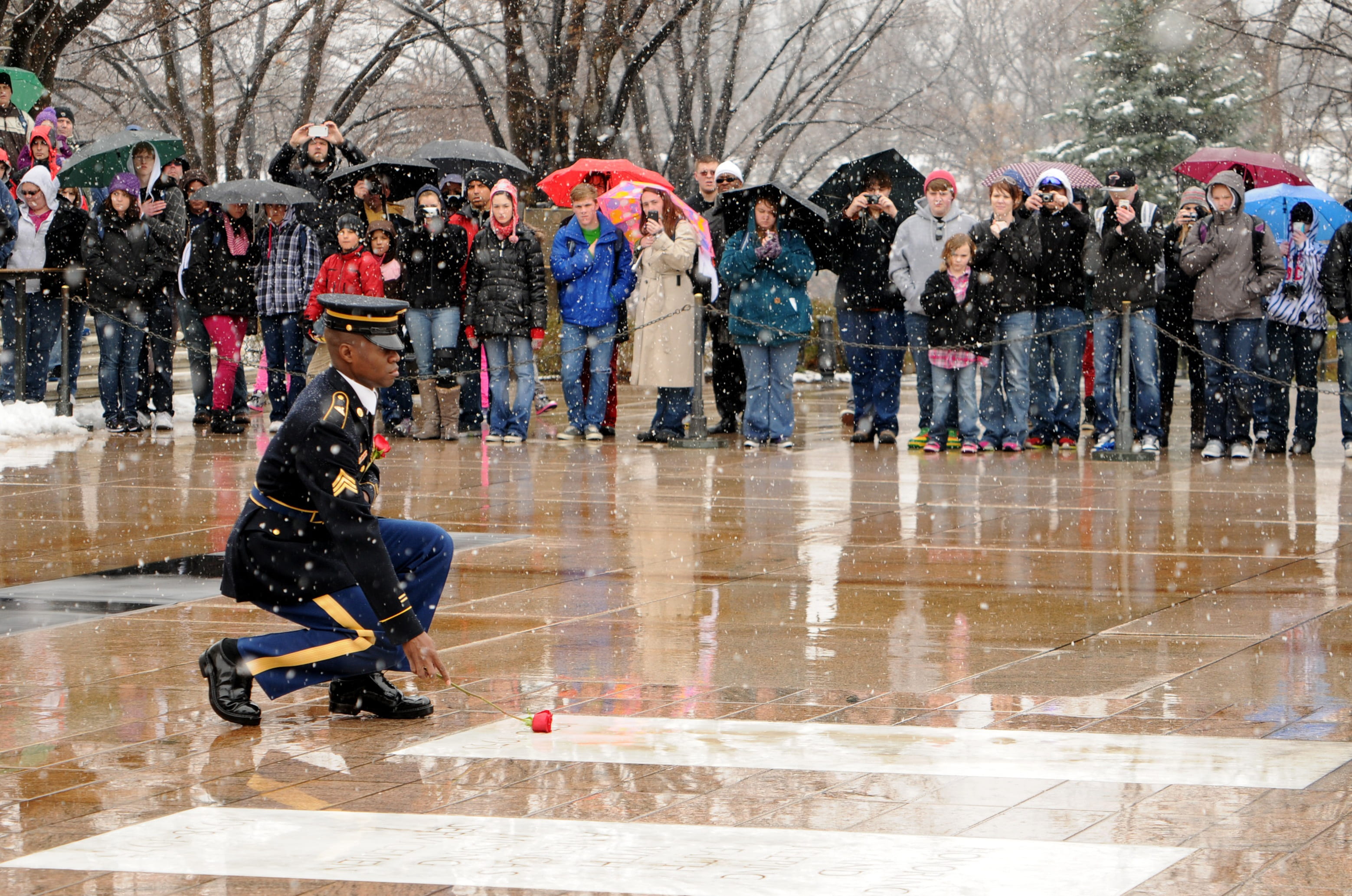 winter, outdoors, marine, soldier, guard, honor, military, wet, government photo, torres jr, sport, 2K, men, warm clothing, credit sgt, laying rose, architecture, HD Wallpaper