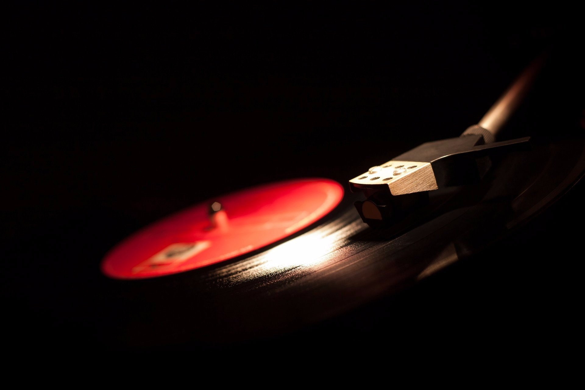 hd, Lights, animals, instrument, Plates, px, x, bugs, closeup, 1920x1280 px, vinyl, musical, Musical Instrument, art, 1080P, HD Wallpaper