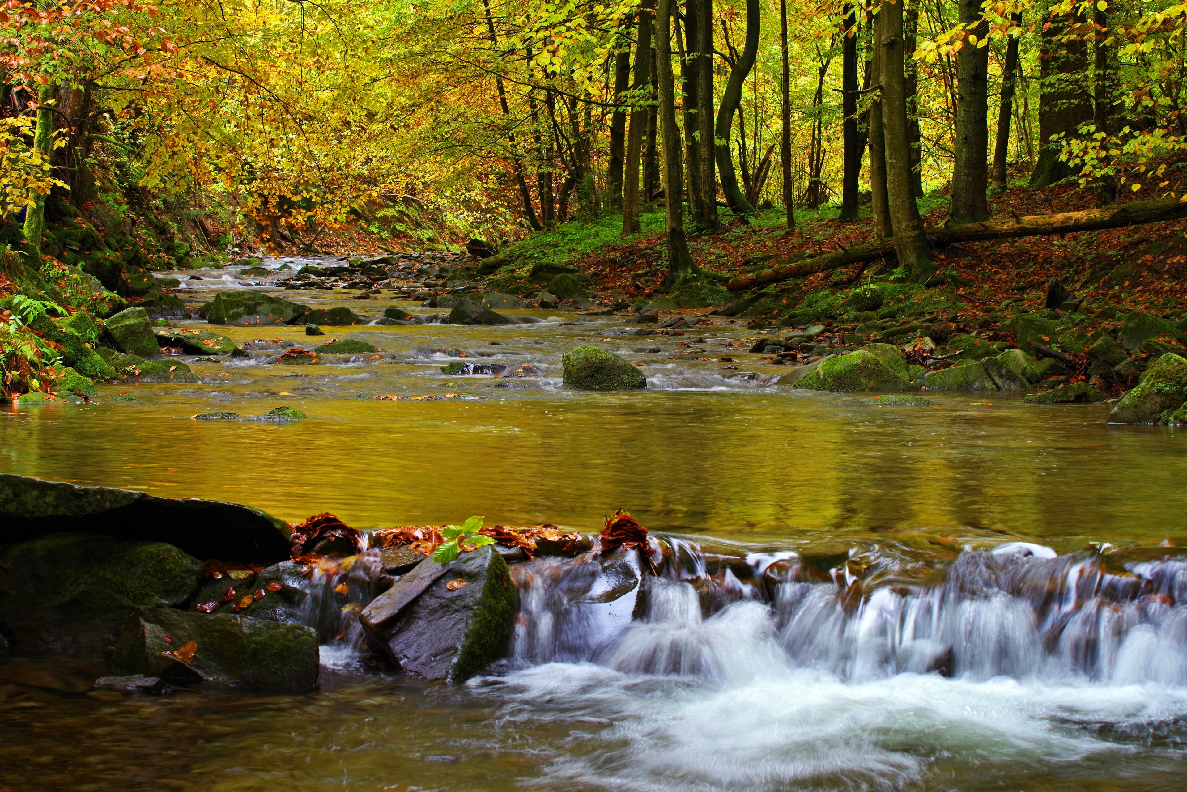 motion, long exposure, river, nature, flowing, bieszczady, stream - flowing water, waterfall, outdoors, rock, plant, 4K, solid, poland, land, tranquility, HD Wallpaper