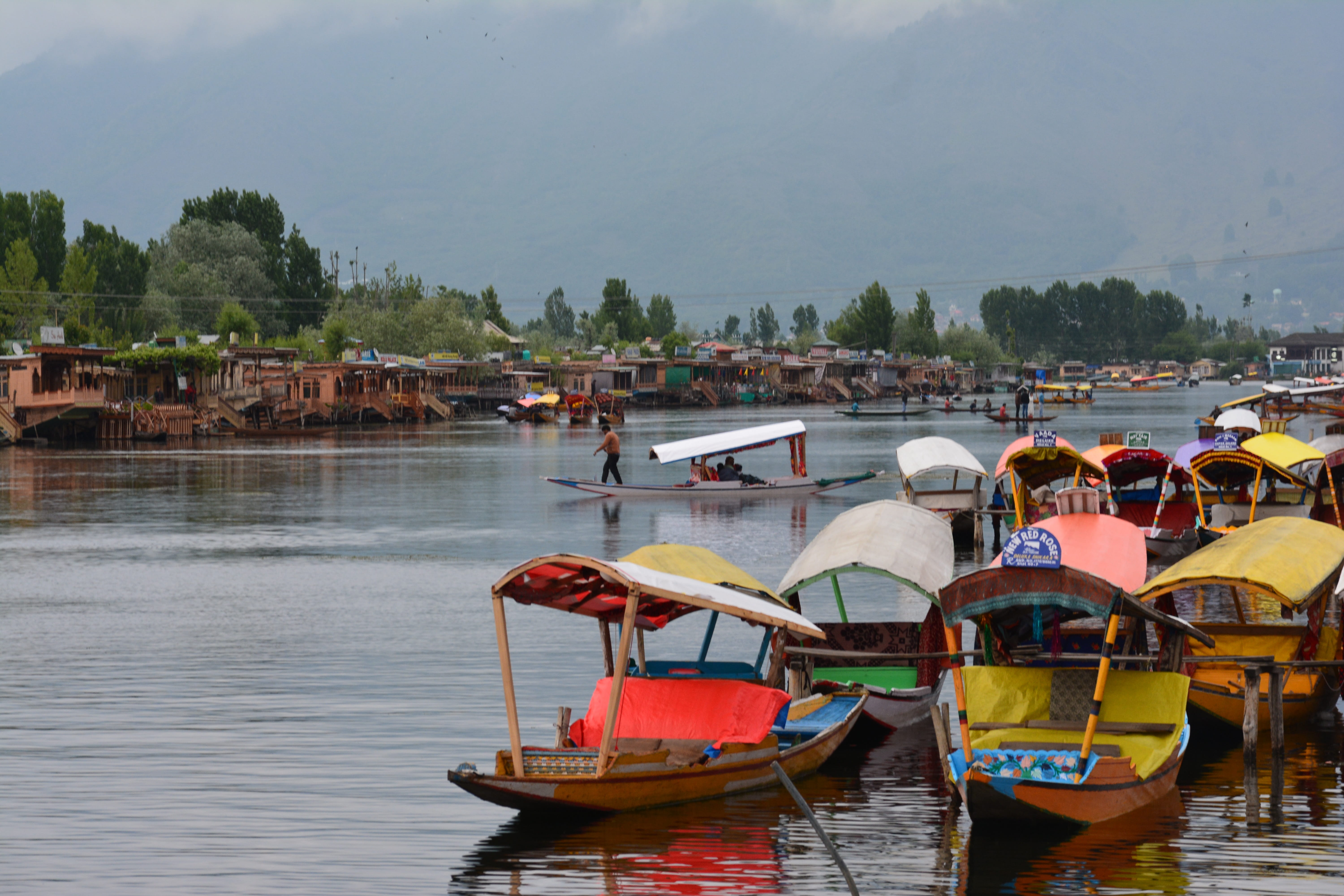 srinagar, 5K, moored, water, waterfront, architecture, travel, outdoors, sky, river, built structure, day, boats, houseboats, mode of transportation, tree, HD Wallpaper