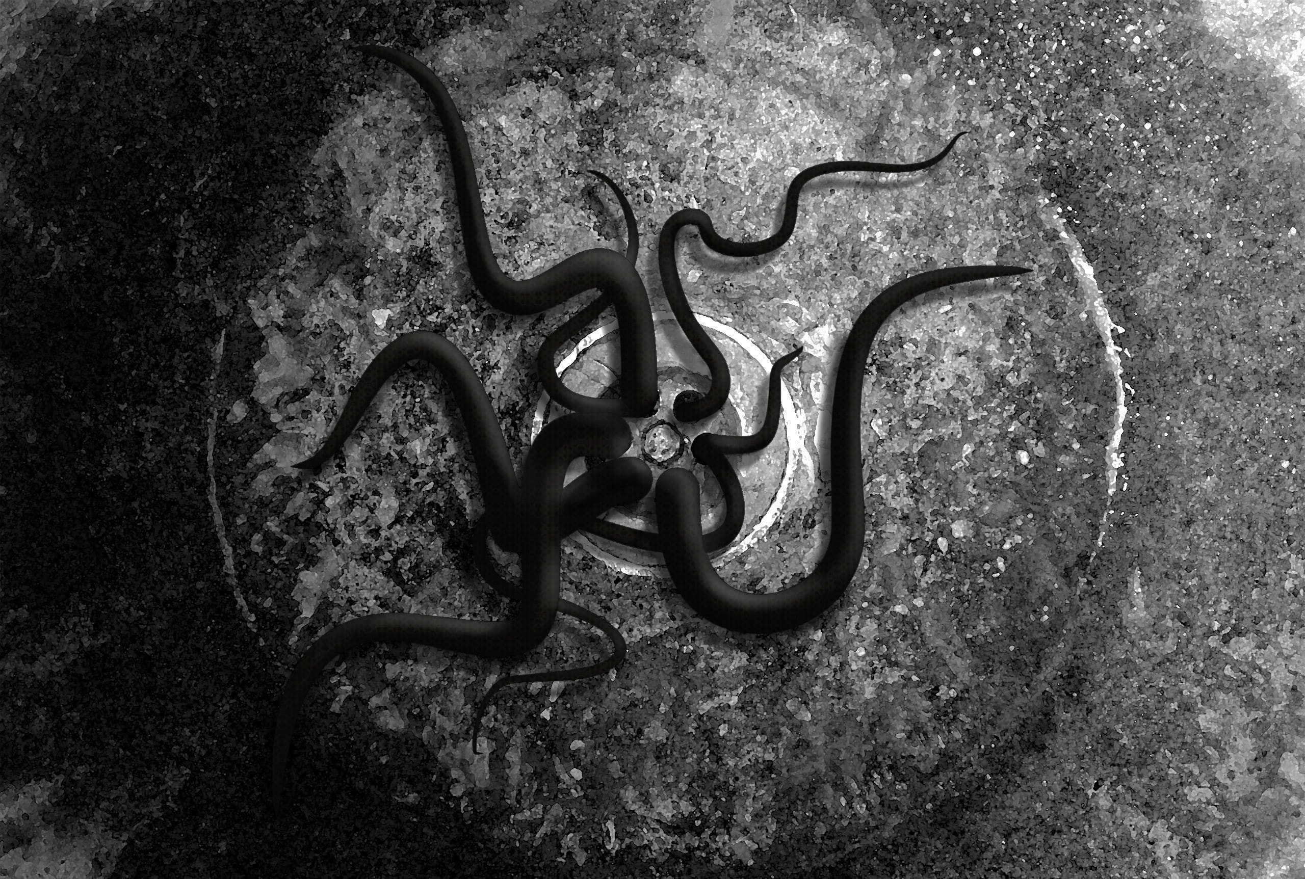 no people, antique, creepy, fantasy, surreal, architecture, dangerous, fear, day, monster, 2K, shape, octopus, spell, animal, scary, black, high angle view, HD Wallpaper
