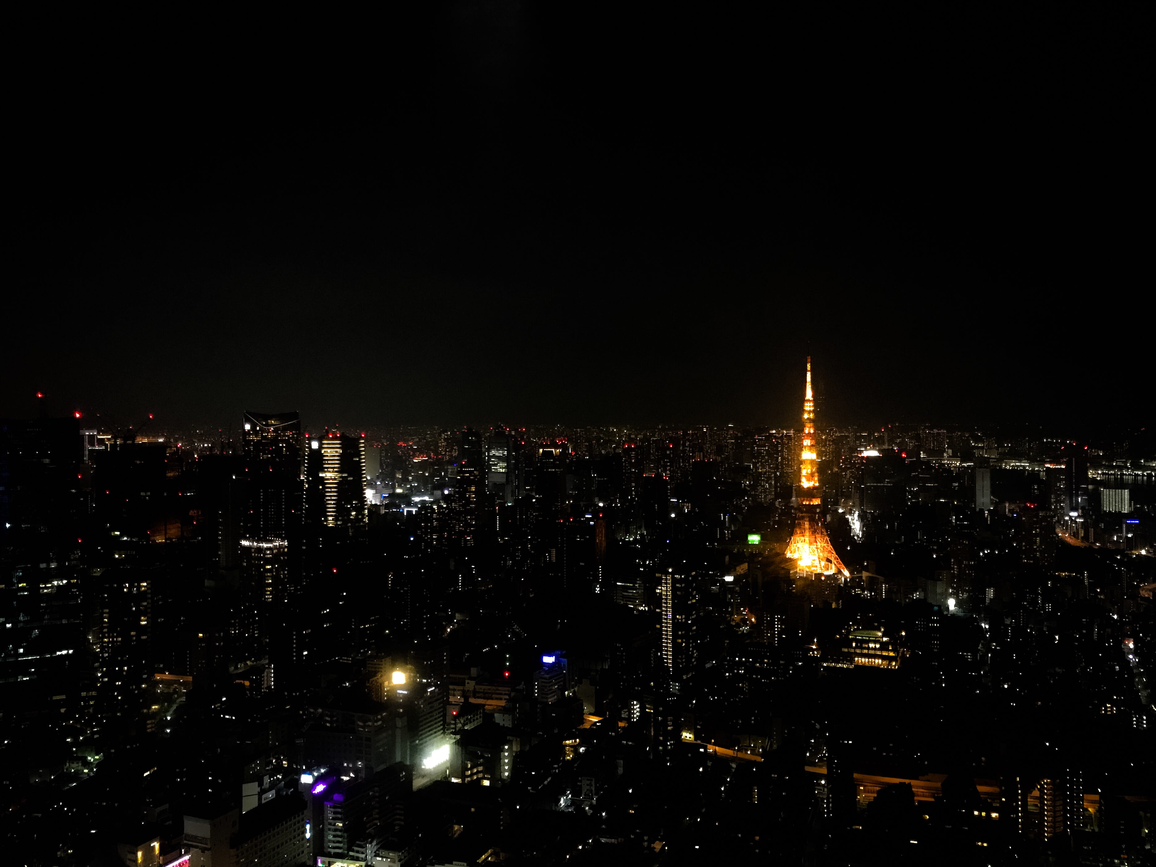minato, tower, cityscape, travel destinations, illuminated, nature, office building exterior, city light, outdoors, japan, night light, skyscraper, view, HD Wallpaper