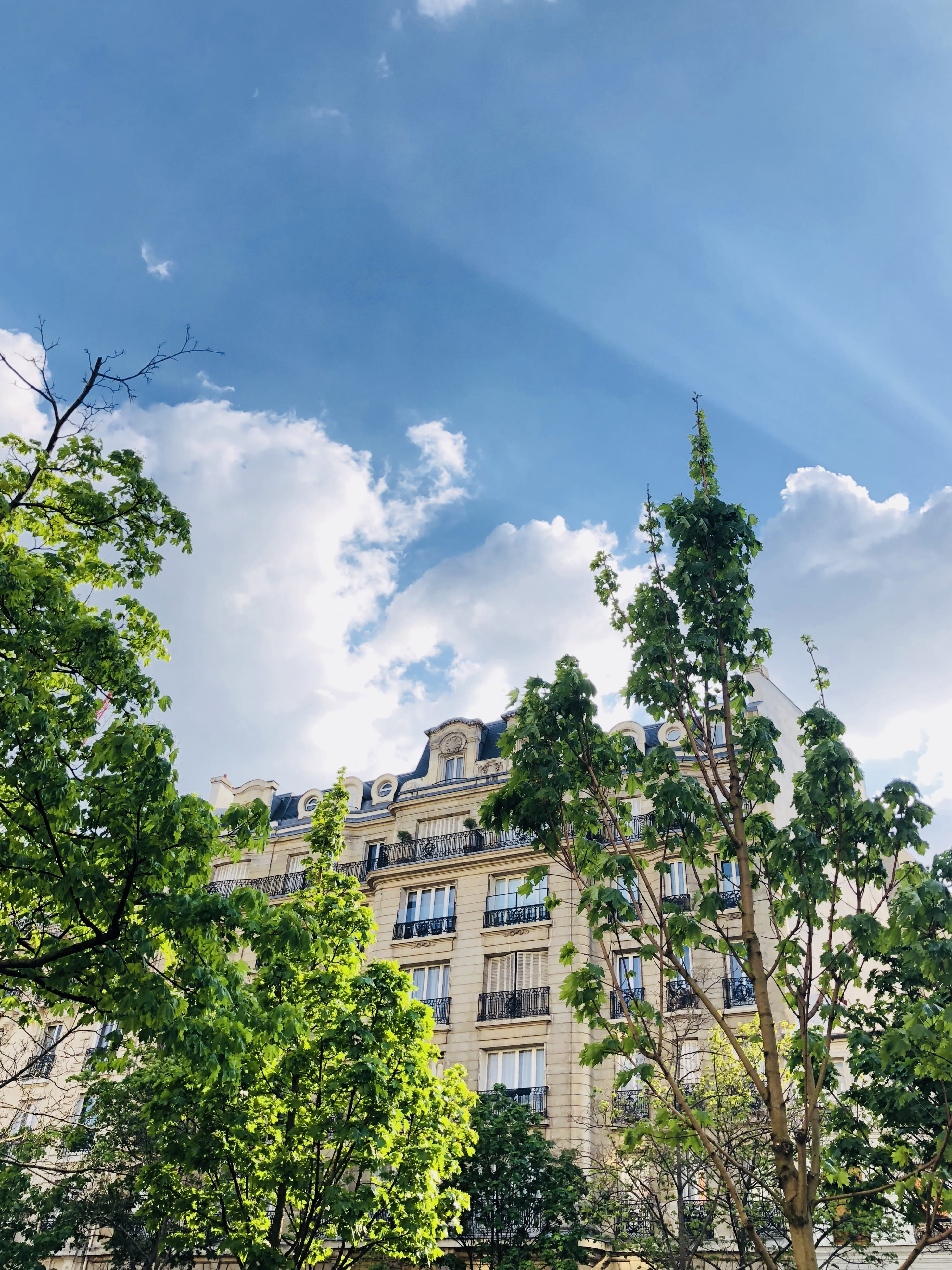 city, day, spring, built structure, haussmannian building, trees, place, paris, green color, blue sky, bulding, street, architecture, growth, outdoors, Phone HD Wallpaper