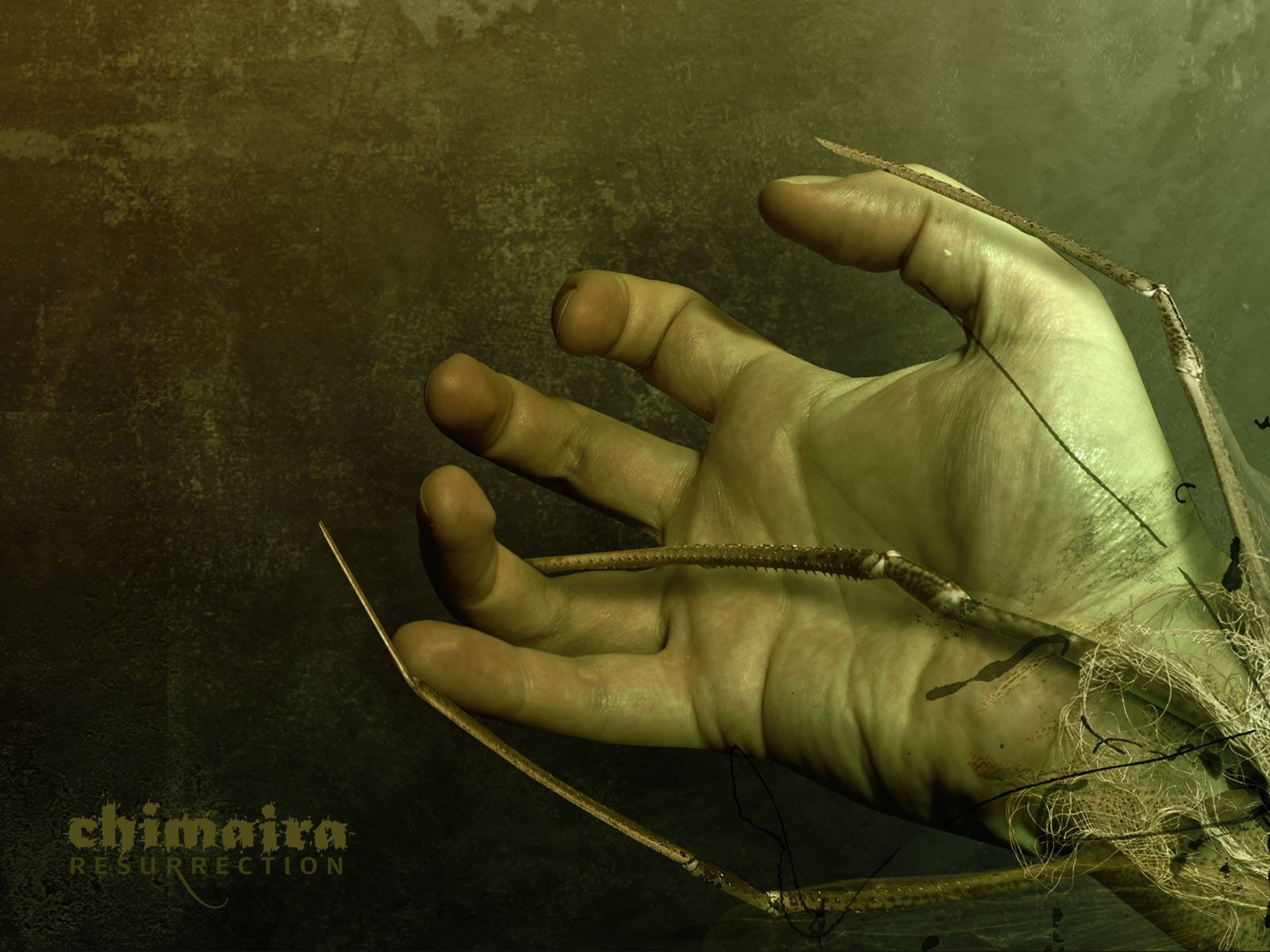 poster, chimaira, groove, dark, metal, 720P, nu metal, metalcore, heavy, HD Wallpaper