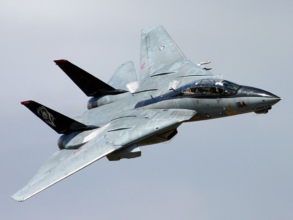 grumman, carrier, F-14, art, hd, Tomcat, military, aircraft, 480P, f, HD Wallpaper