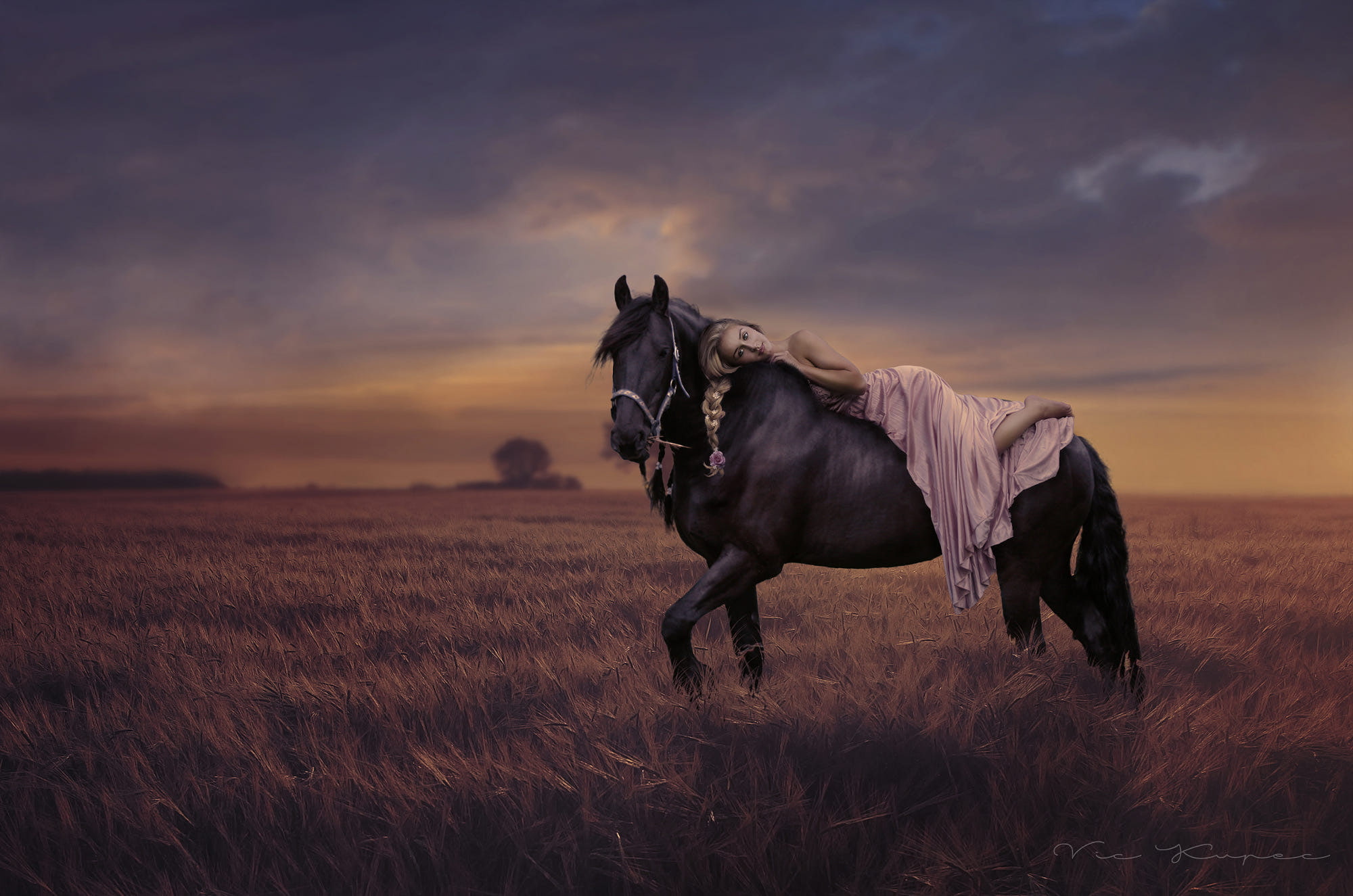 lying on front, field, women with horse, blonde, dress, long hair, braids, 1080P, sky, women, barefoot, pink dress, horse, women outdoors, sunset, bare shoulders, HD Wallpaper