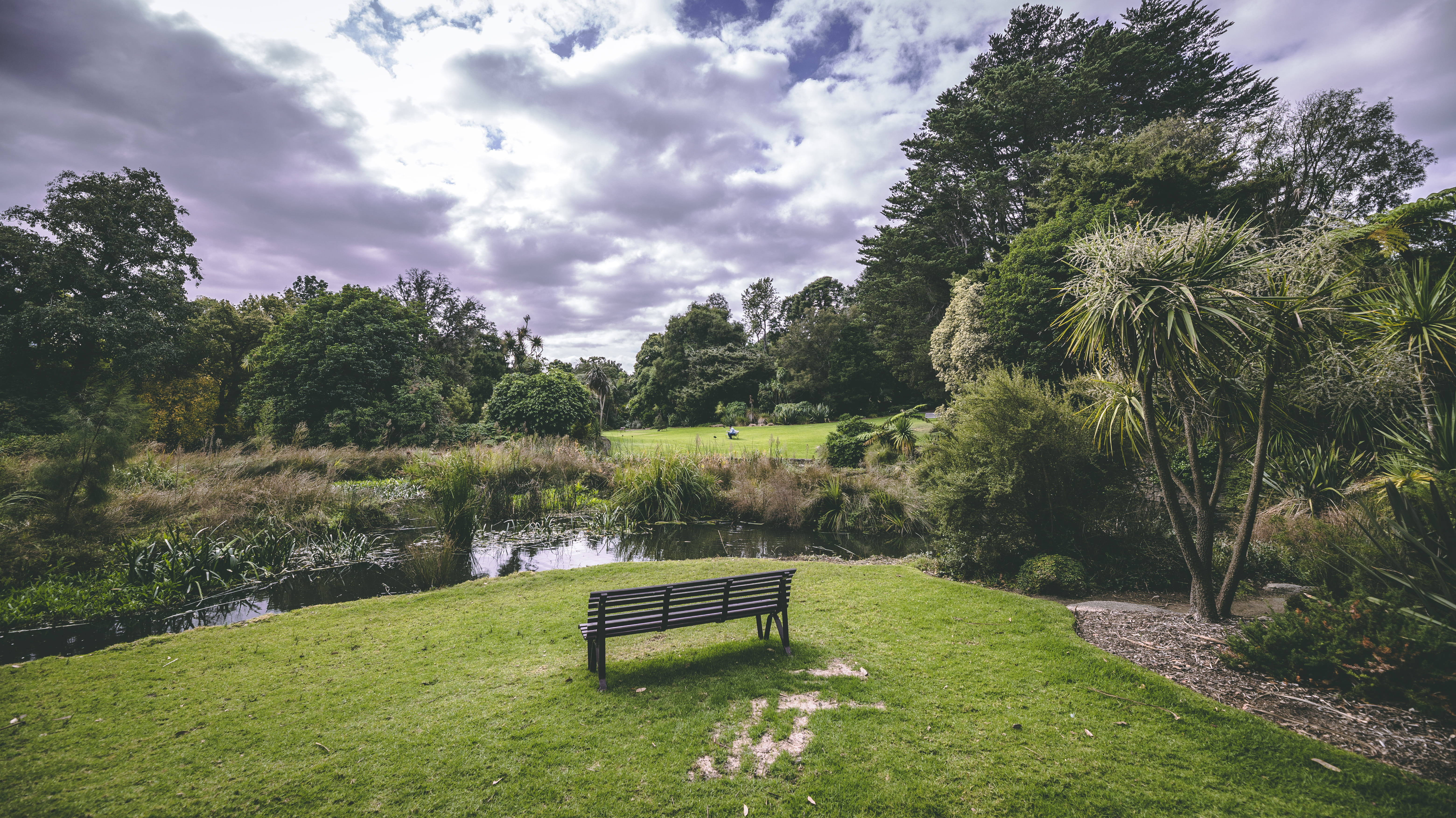 land, garden, green, tranquil scene, no people, bench, day, tan track, park, melbourne, 5K, plant, vic, scenics - nature, green color, growth, cloud - sky, HD Wallpaper