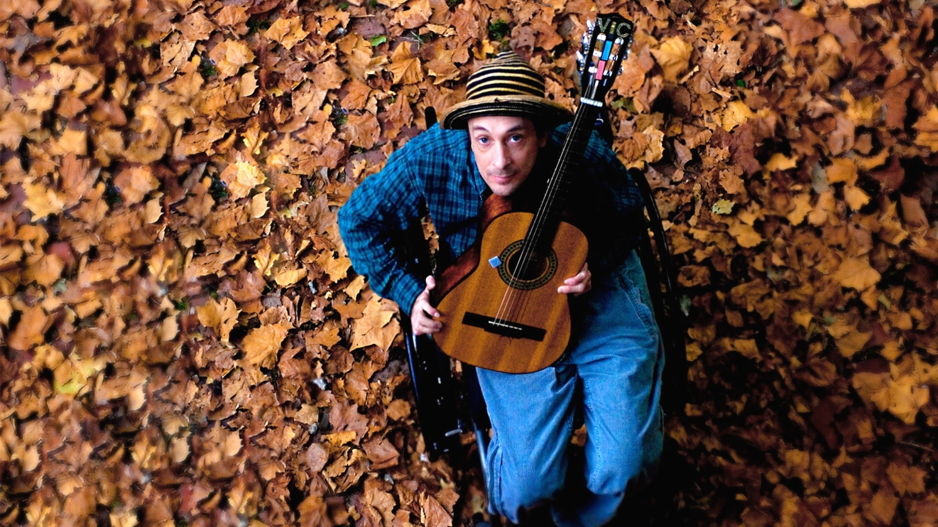chesnutt, leaves, vic, 1080P, guitar, HD Wallpaper