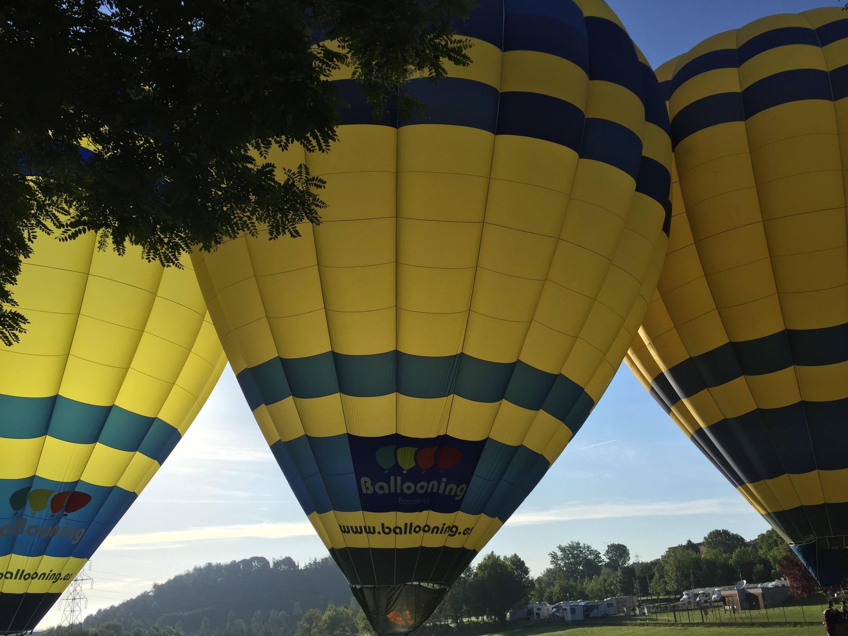 extreme sports, 2K, ballooning festival, hot air balloon, leisure activity, tree, catalonia, vic, adventure, transportation, low angle view, outdoors, HD Wallpaper