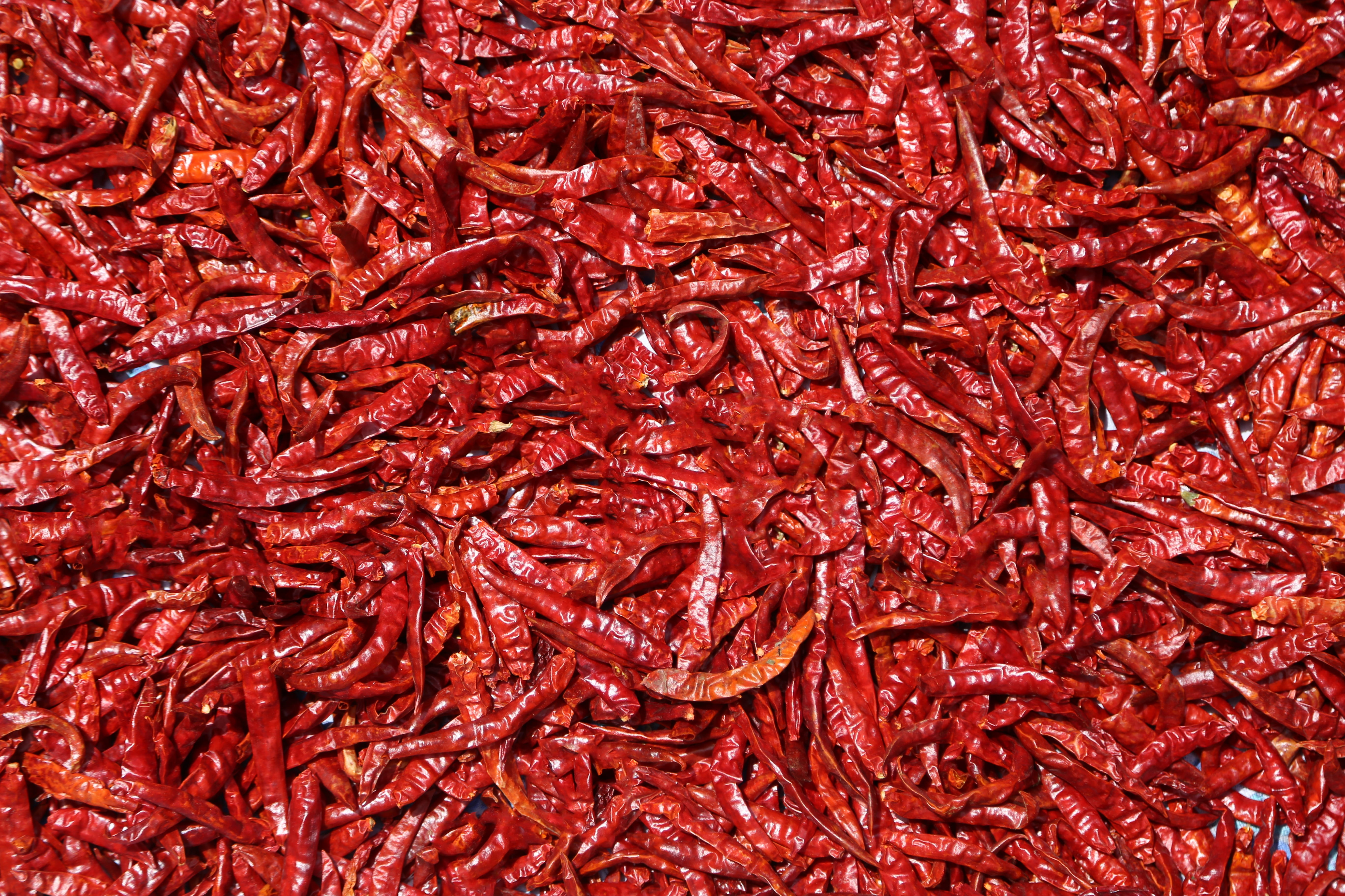 chili pepper, dehydrated, no people, dry, pepper, red, photo, chilli, backgrounds, natural, lay, spices, full frame, seasoning, still life, dried food, HD Wallpaper