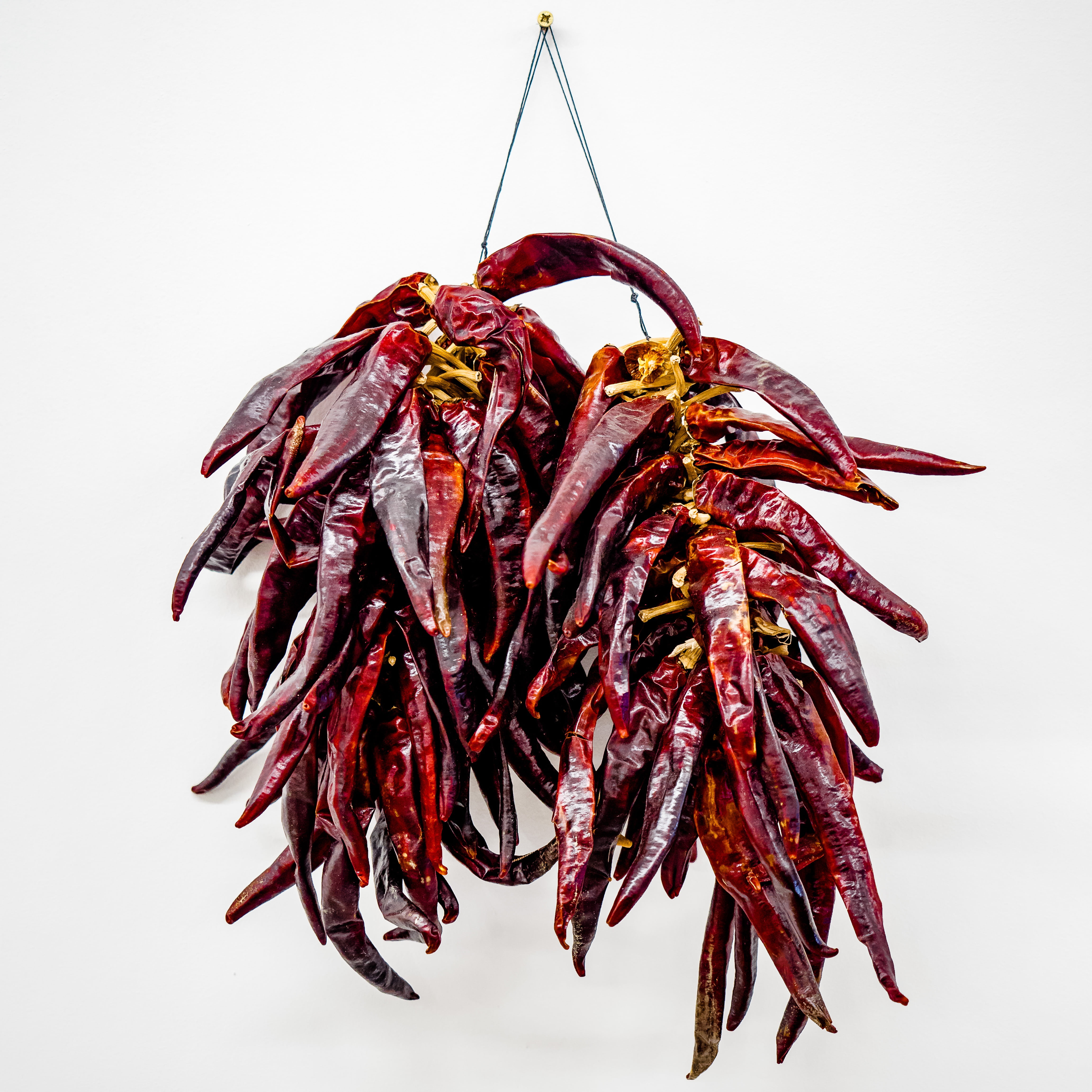 close-up, hanging, studio shot, crustacean, paprika, chili Pepper, chili, spicy, hot, large group of objects, white background, indoors, red chili pepper, Phone HD Wallpaper