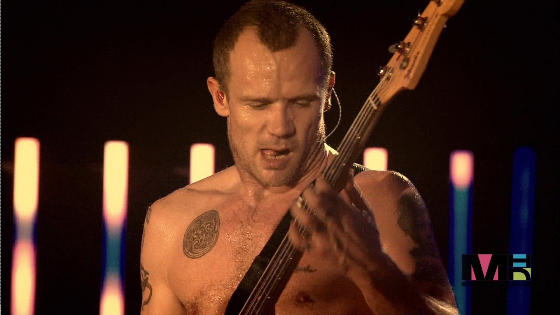 peppers, chili, alternative, 1080P, funk, flea, red, guitar, concert, rock, hot, HD Wallpaper