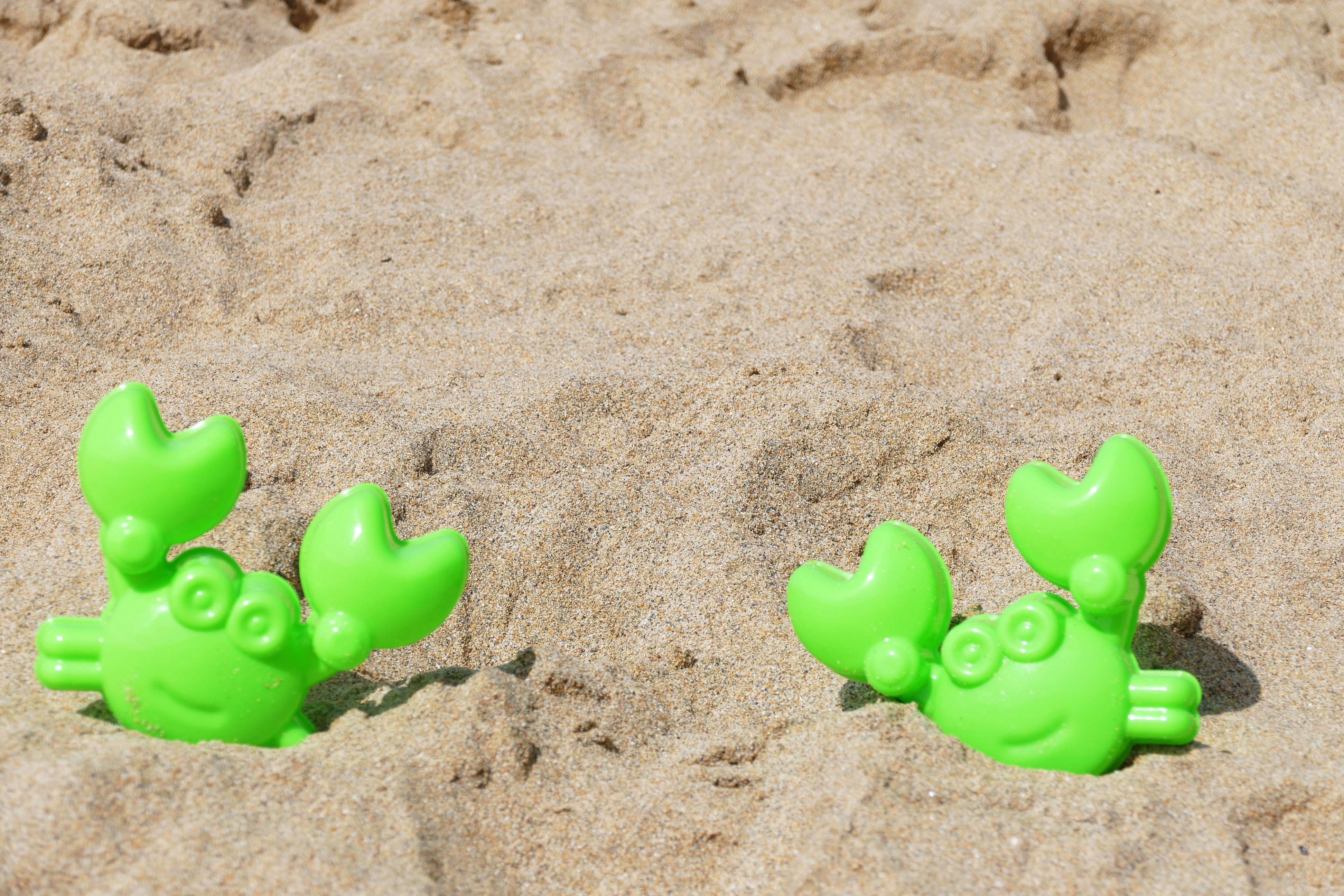 travel, crustacean, 4K, shellfish, scenic, day, tropical, shore, high angle view, animal representation, vacation, two, animal, children, outdoors, sand, HD Wallpaper