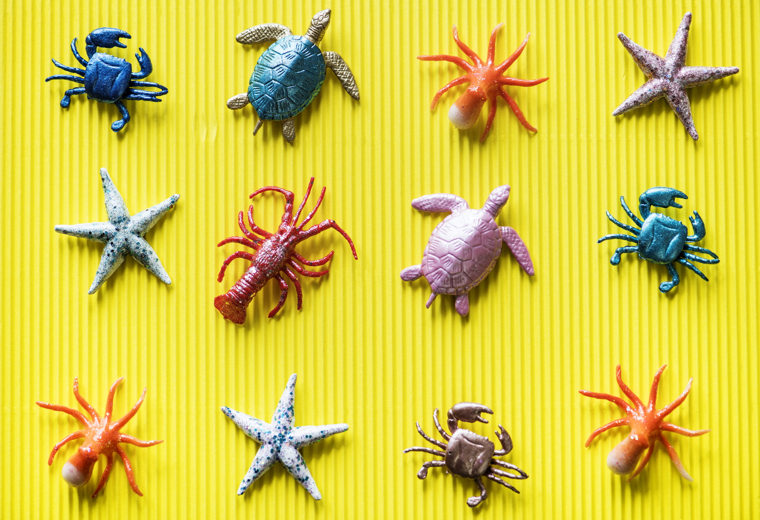 childhood, collection, representation, invertebrate, underwater, crab, animal themes, beach, group of animals, pattern, sea turtle, outdoor, animals, colorful, HD Wallpaper