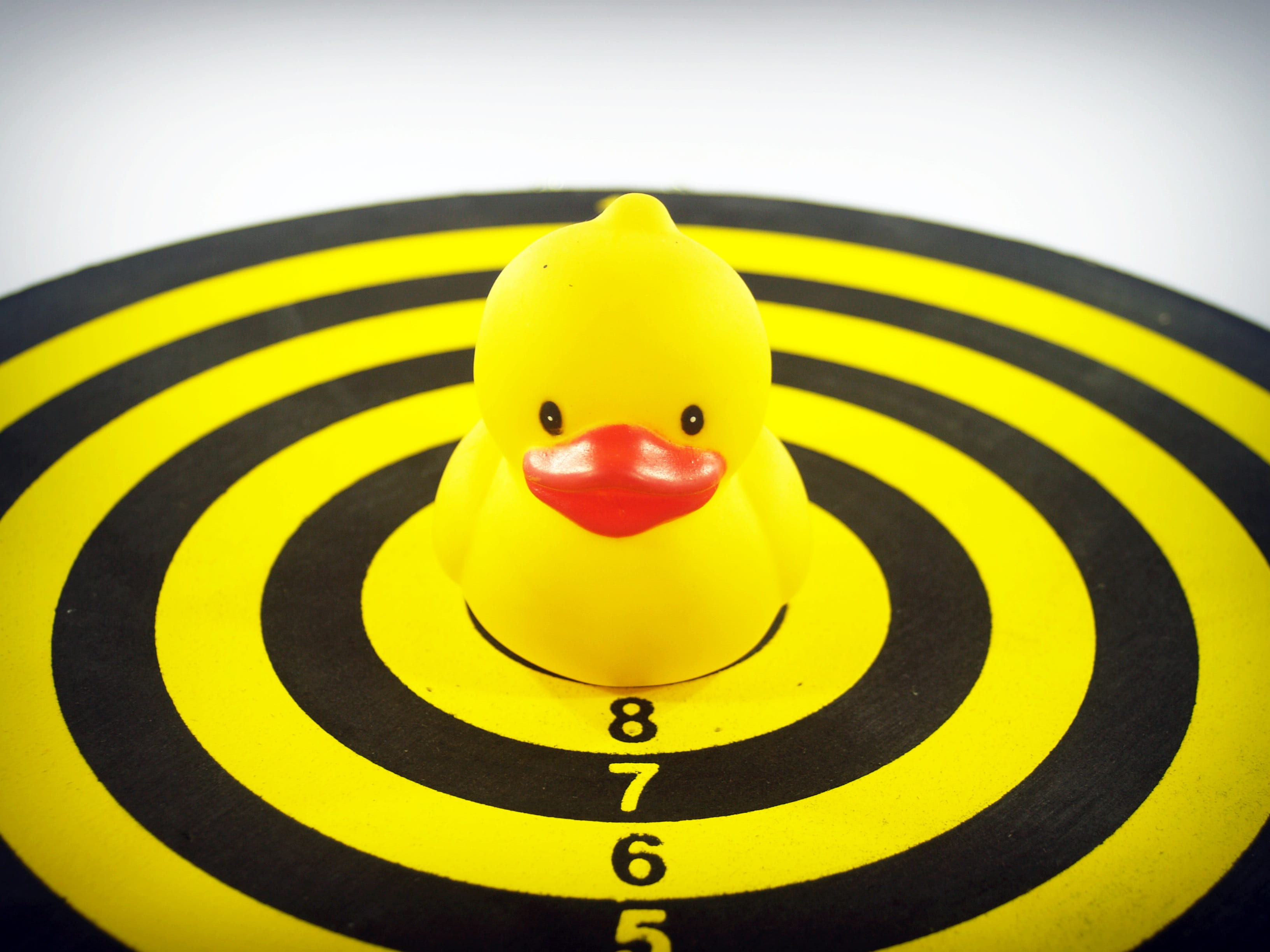 childhood, yellow, game, splash, 2K, toy, target, accuracy, playing, duckling, duck, bathroom, play, floating on water, pattern, fun, board, animal, creativity, HD Wallpaper