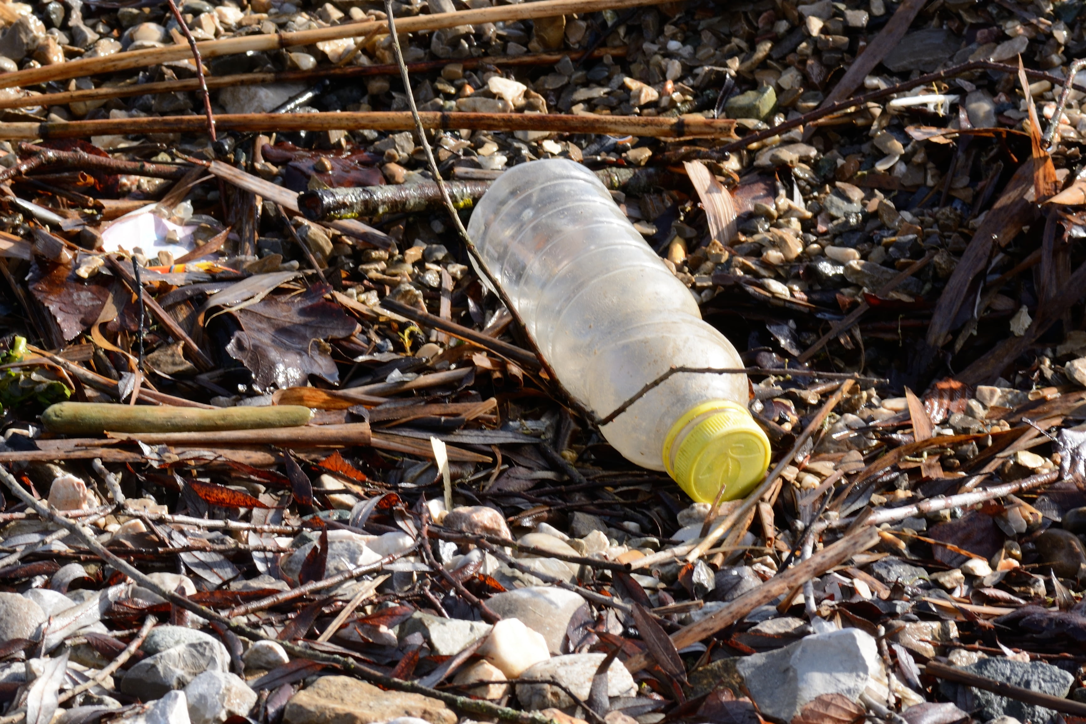recycling, nature, 2K, circuit, disposal, high angle view, animal, outdoors, ground, day, drink, environmental protection, stick - plant part, pet, environment, HD Wallpaper