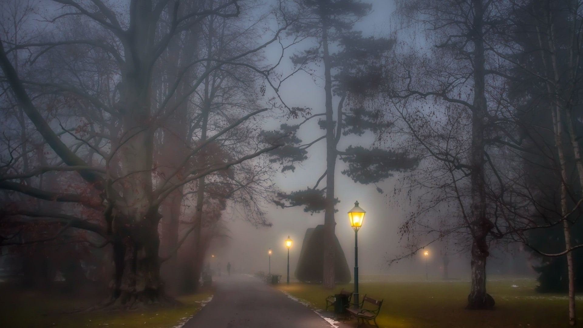 dusk, direction, trees, illuminated, bare tree, street light, street, sky, outdoors, park - man made space, lighting equipment, night, branch, the way forward, HD Wallpaper