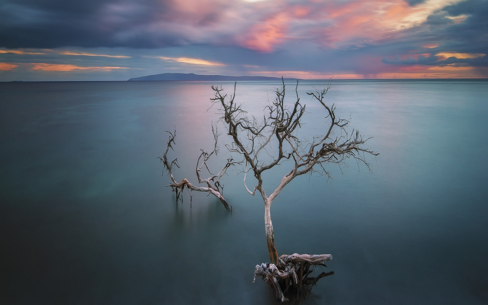 dead trees, hills, lake, calm, clouds, water, nature, 1080P, HD Wallpaper