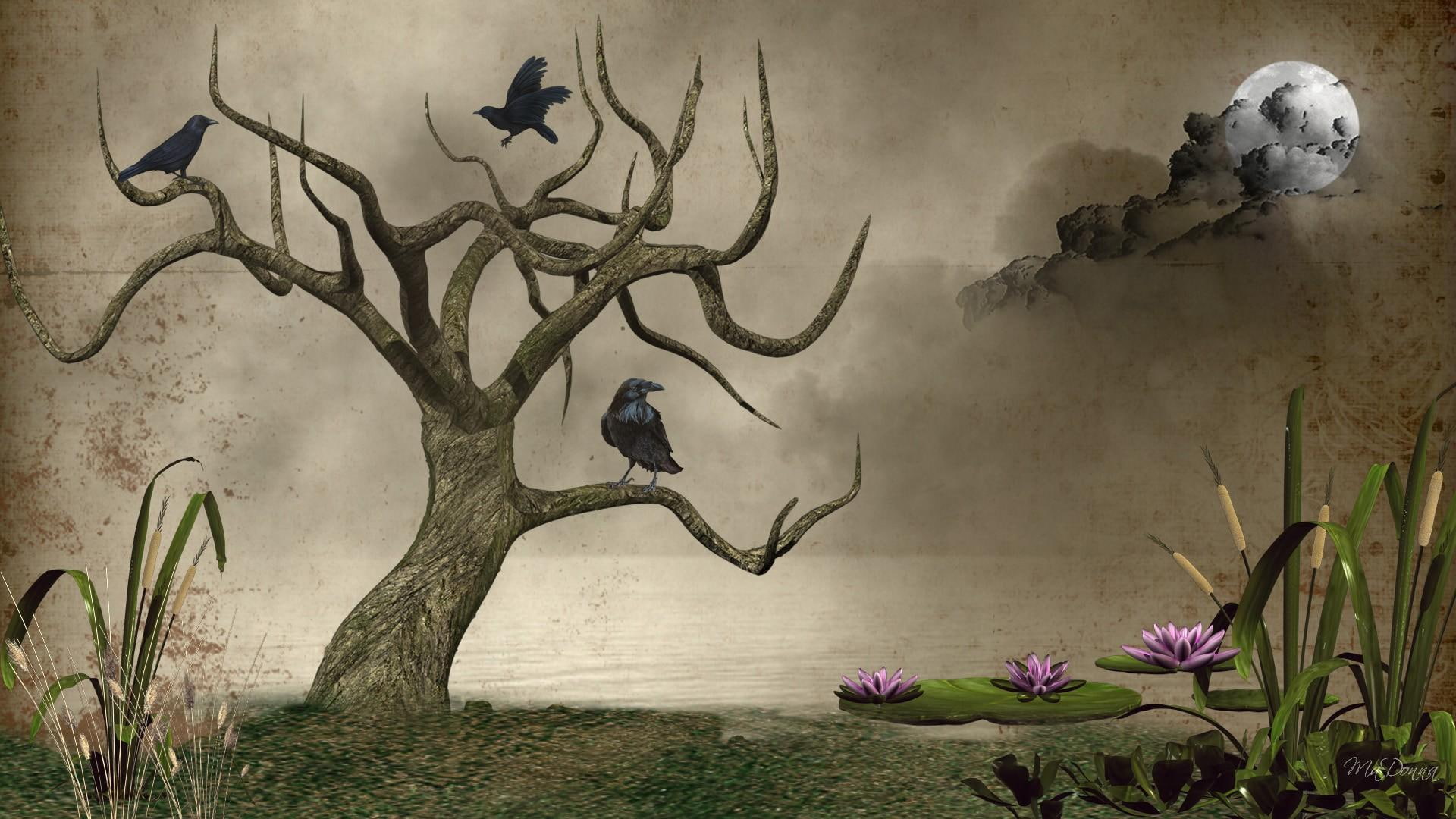 1080P, water lilys, fantasy, ravens, tree, macabre, haunting, dark, mysterious, lily pads, grass, pond, cat tails, dead, HD Wallpaper
