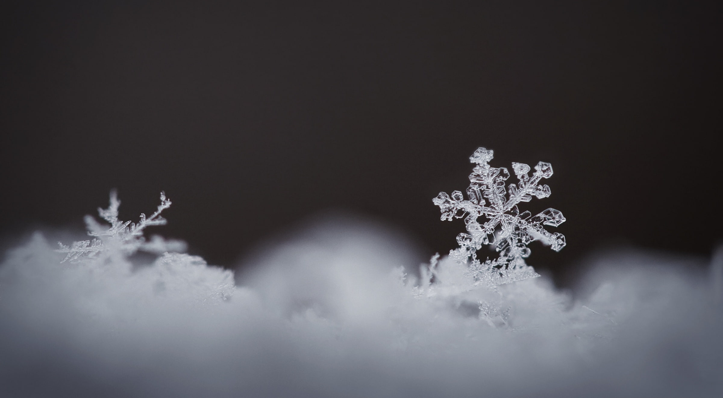 Snowflake, night, Macro, black background, magnified, studio shot, cloud - sky, cold temperature, sky, Snow, Frozen, white color, Cold, Crystal, ice, unique, HD Wallpaper