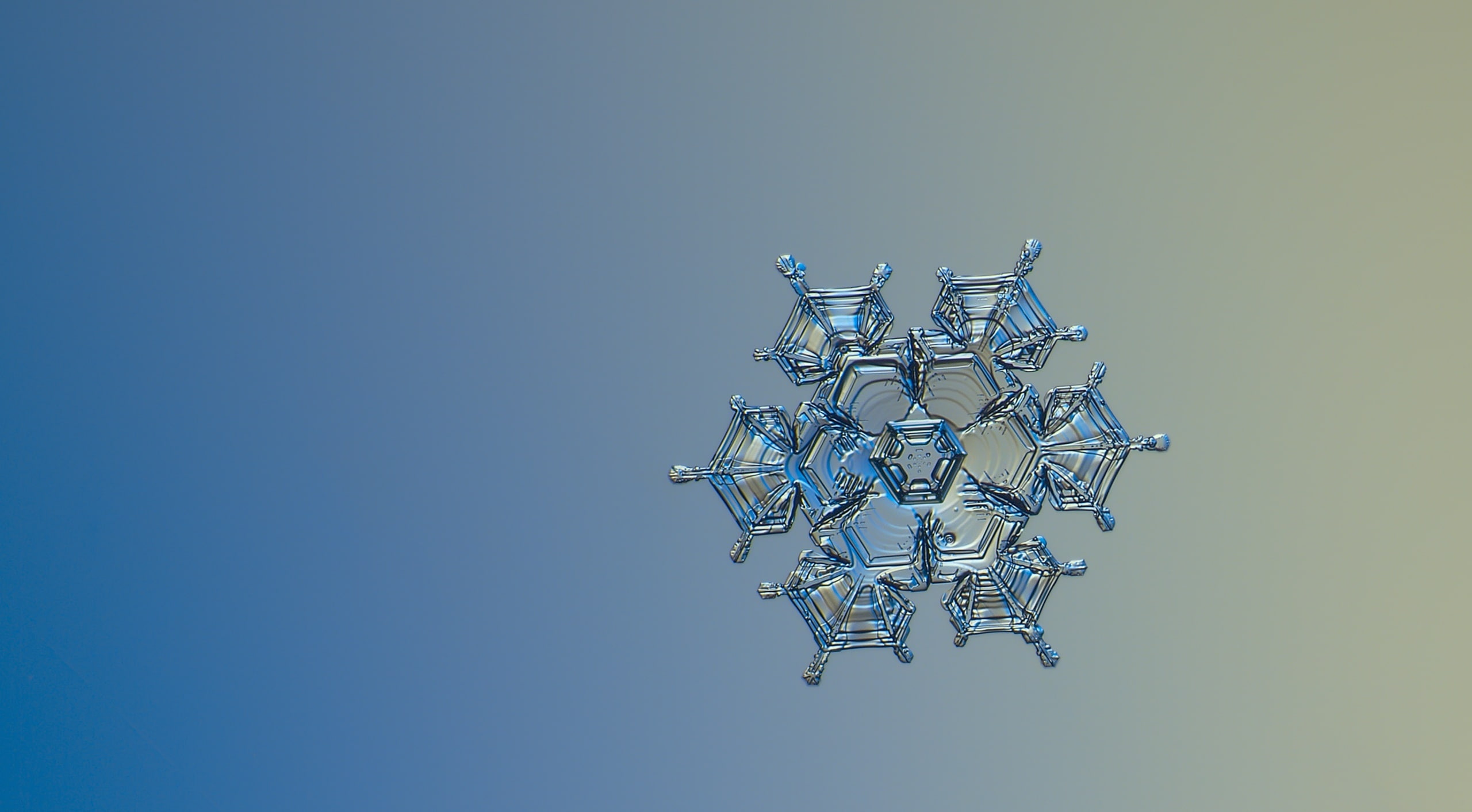 Winter, Hexagon, magnified, lighting equipment, depthoffield, Bright, Clear, Closeup, Natural, fragile, Fractal, Macro, Snow, fragility, intricate, Frozen, HD Wallpaper