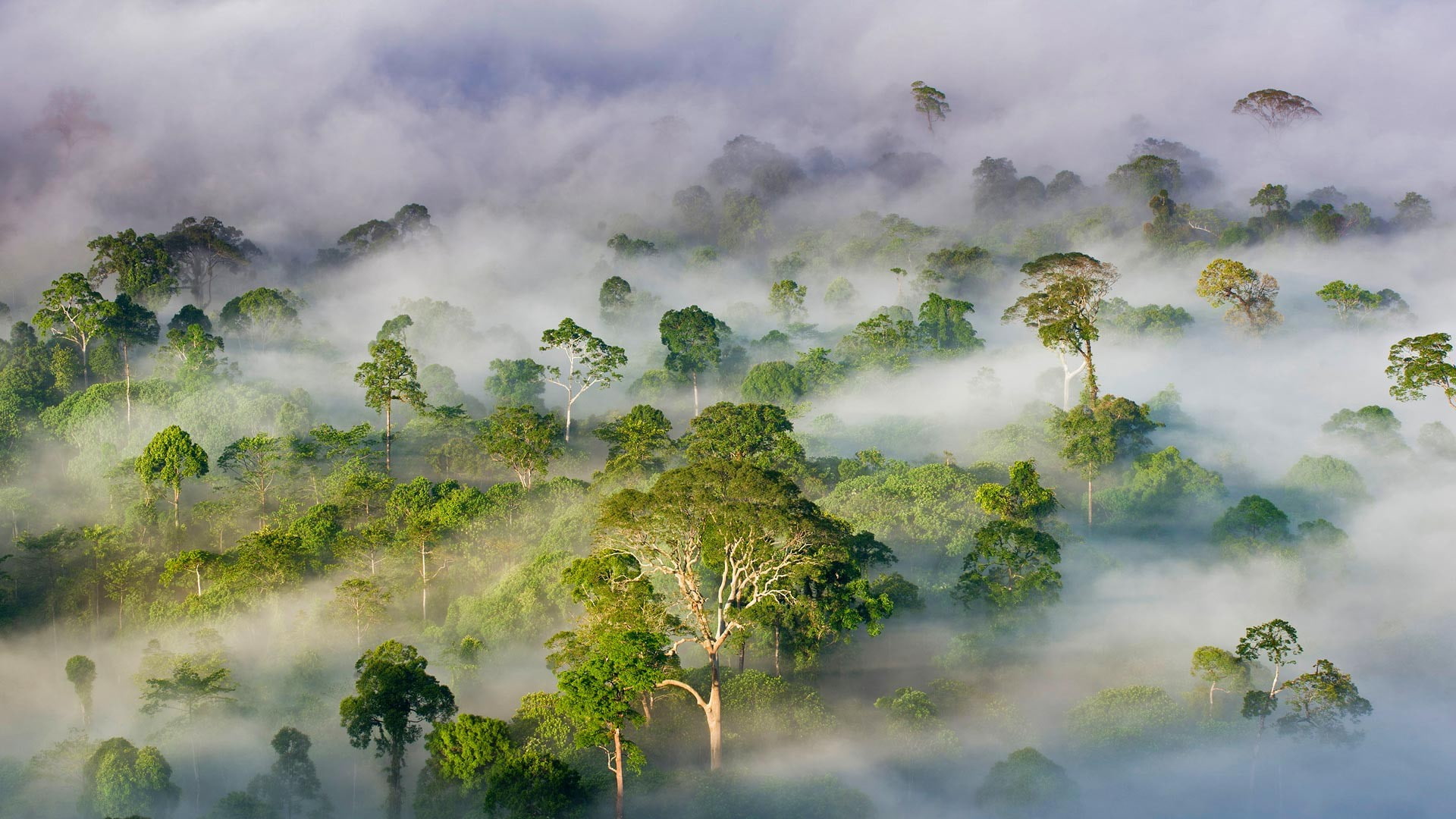 nature, Bing, photography, 1080P, HD Wallpaper