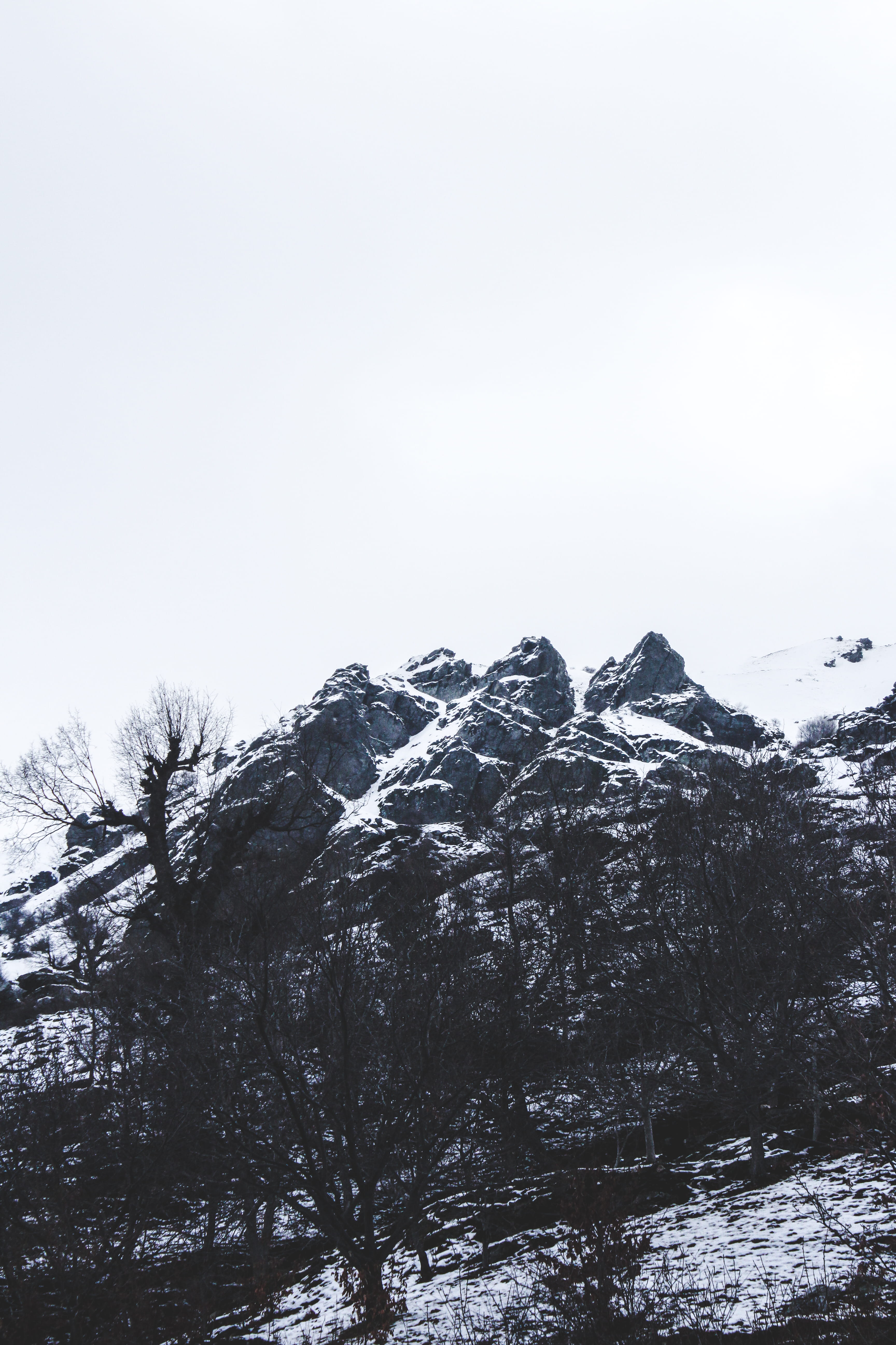 5K, day, non-urban scene, nature, cold temperature, plant, fir, mountain, abies, sky, snow, mountain range, peak, tree, tranquility, mountain peak, Phone HD Wallpaper