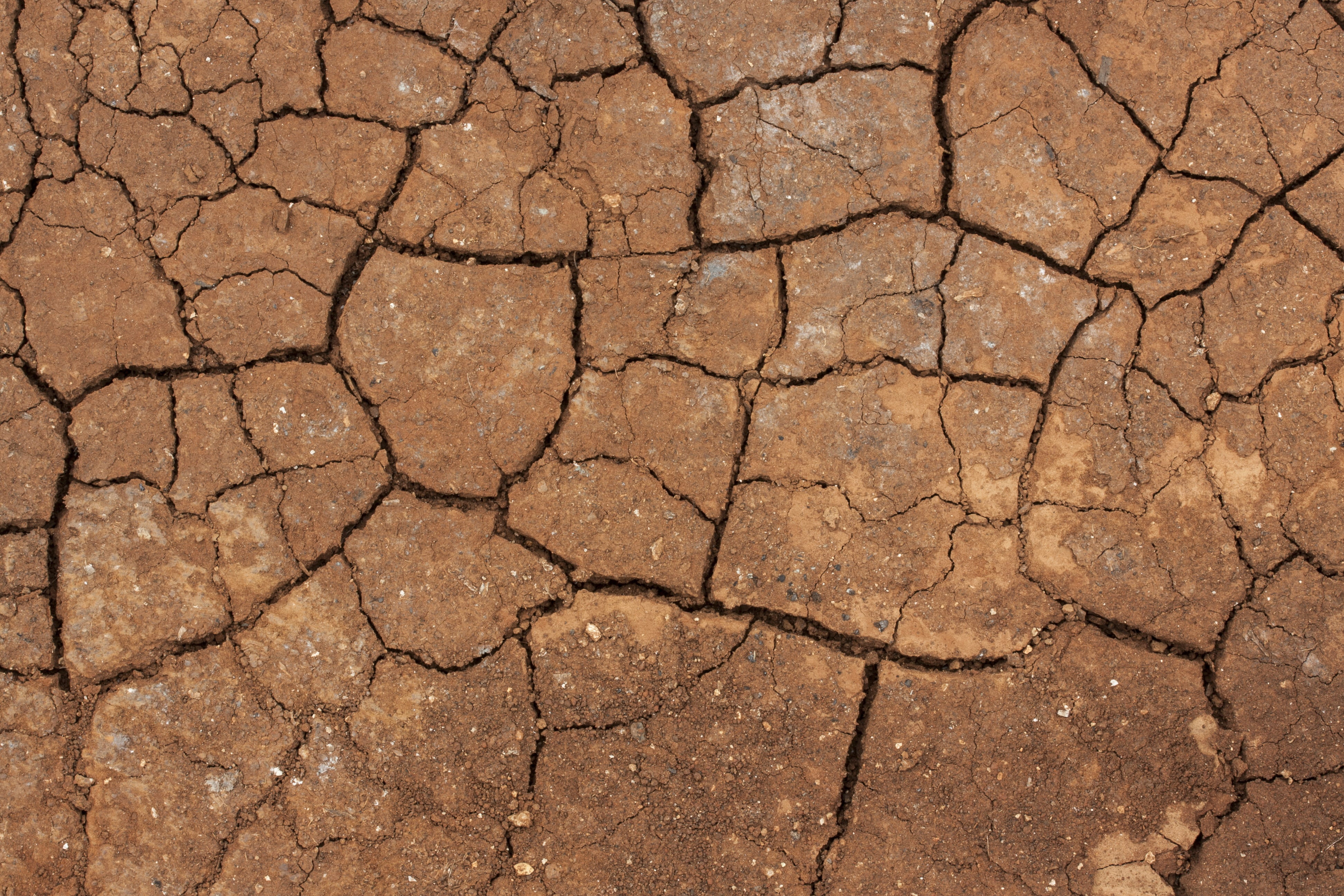 photo, photography, world, nobody, outdoor, backgrounds, nature, Dried, land, desert, extreme terrain, no people, Up, day, scenics - nature, terry, infertility, HD Wallpaper