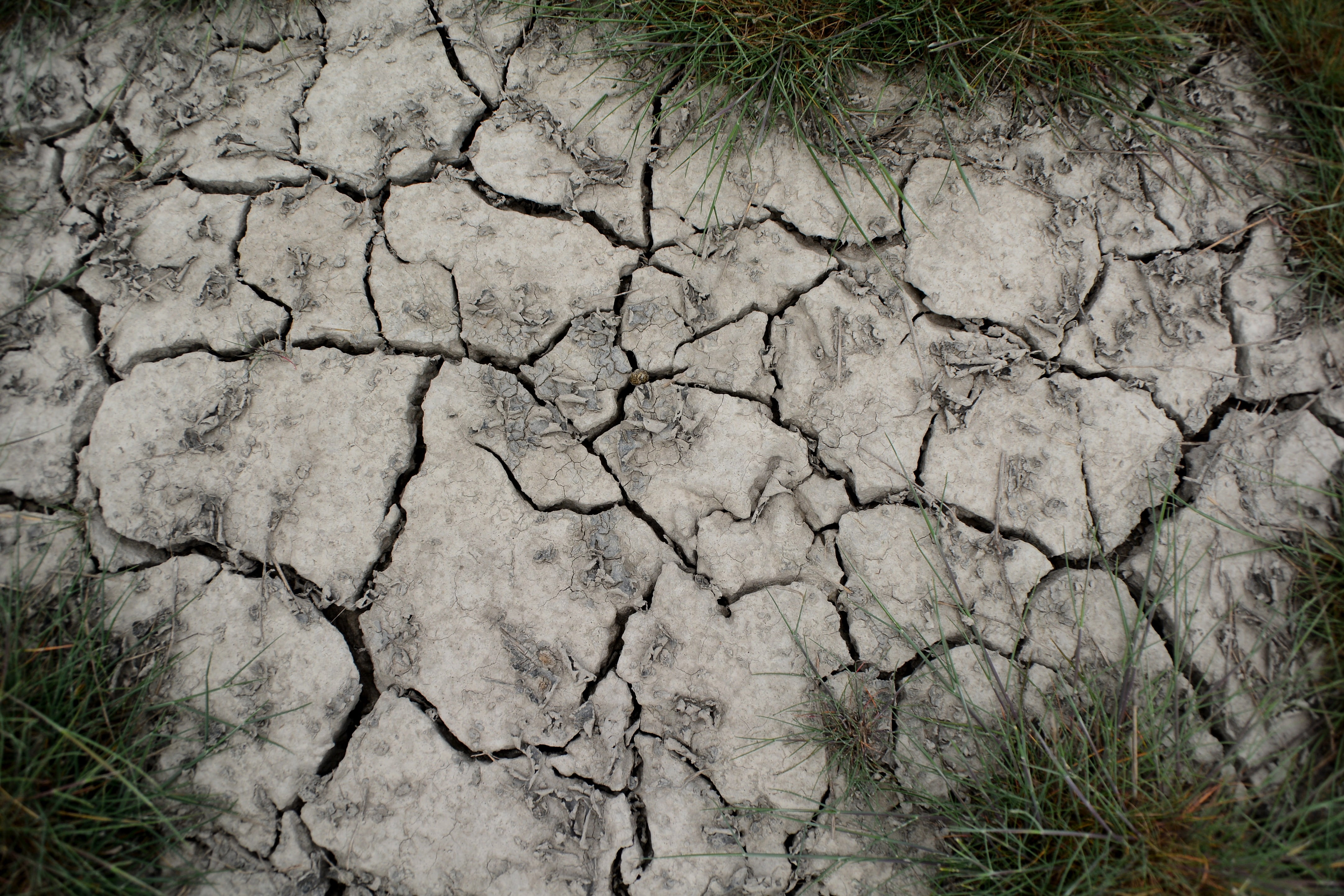 barren, field, no people, earth, natural pattern, environmental issues, textured, natural Disaster, plow, dry, environment, desert, outdoors, pattern, scenics - nature, HD Wallpaper