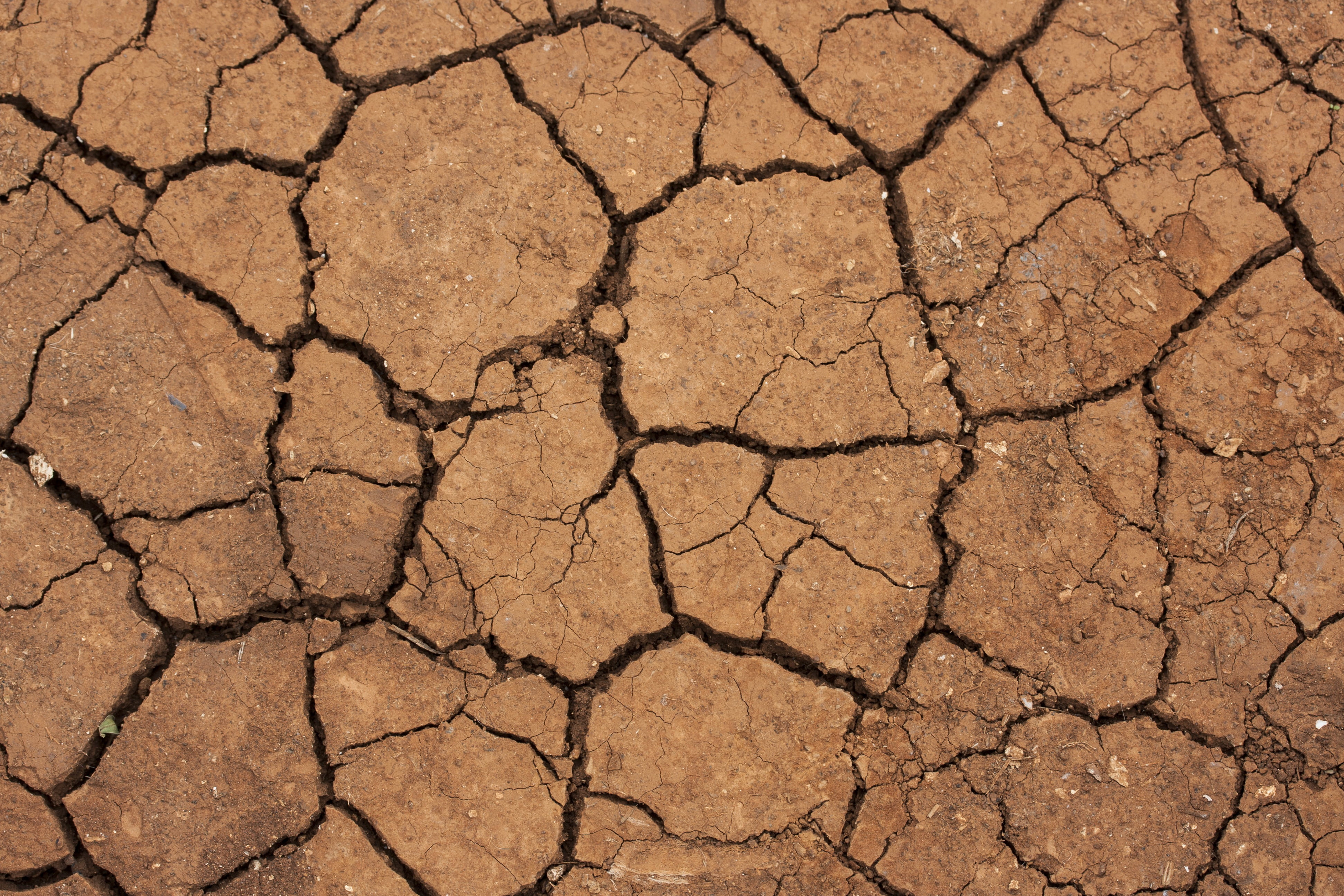 worn, demolition, barren, field, scenics - nature, environment, texture, global warming, infertility, natural pattern, soil, meteorology, sand, water, textured, HD Wallpaper