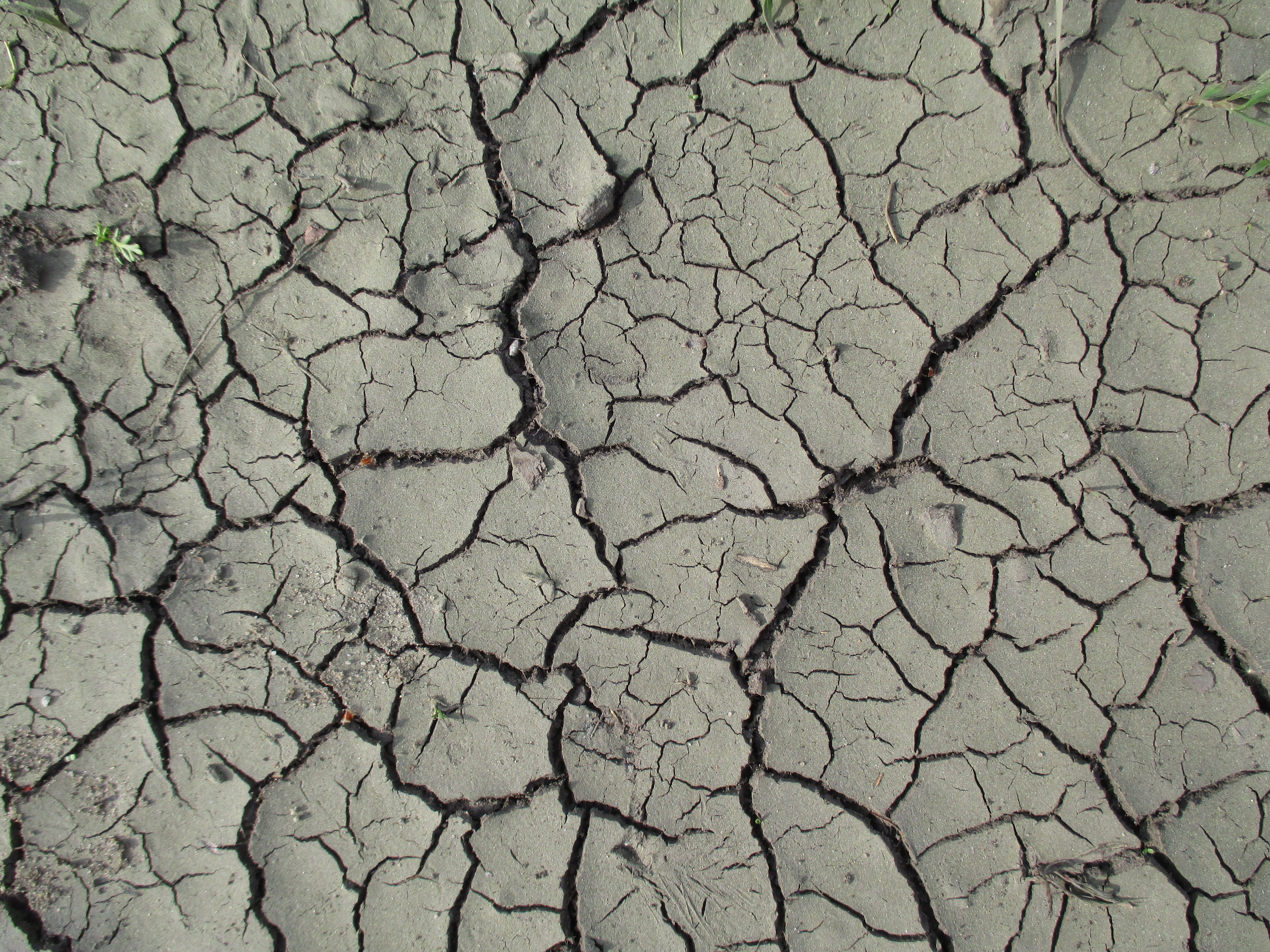 outdoors, river, environmental issues, natural pattern, scenics - nature, trough, pool, 4K, textured, heat, clay, summer, environment, no people, texture, HD Wallpaper