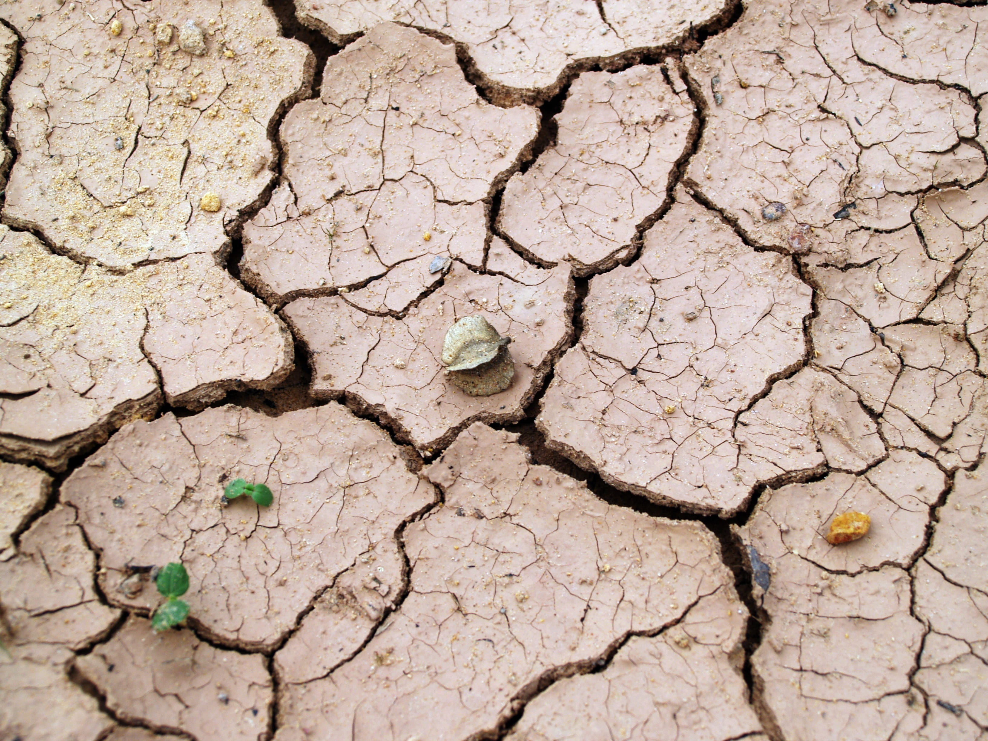 cracked, heat - Temperature, Crack, broken, dirt, global Warming, texture, Rough, brown, desert, brake, backgrounds, close-up, arid Climate, ground, day, HD Wallpaper