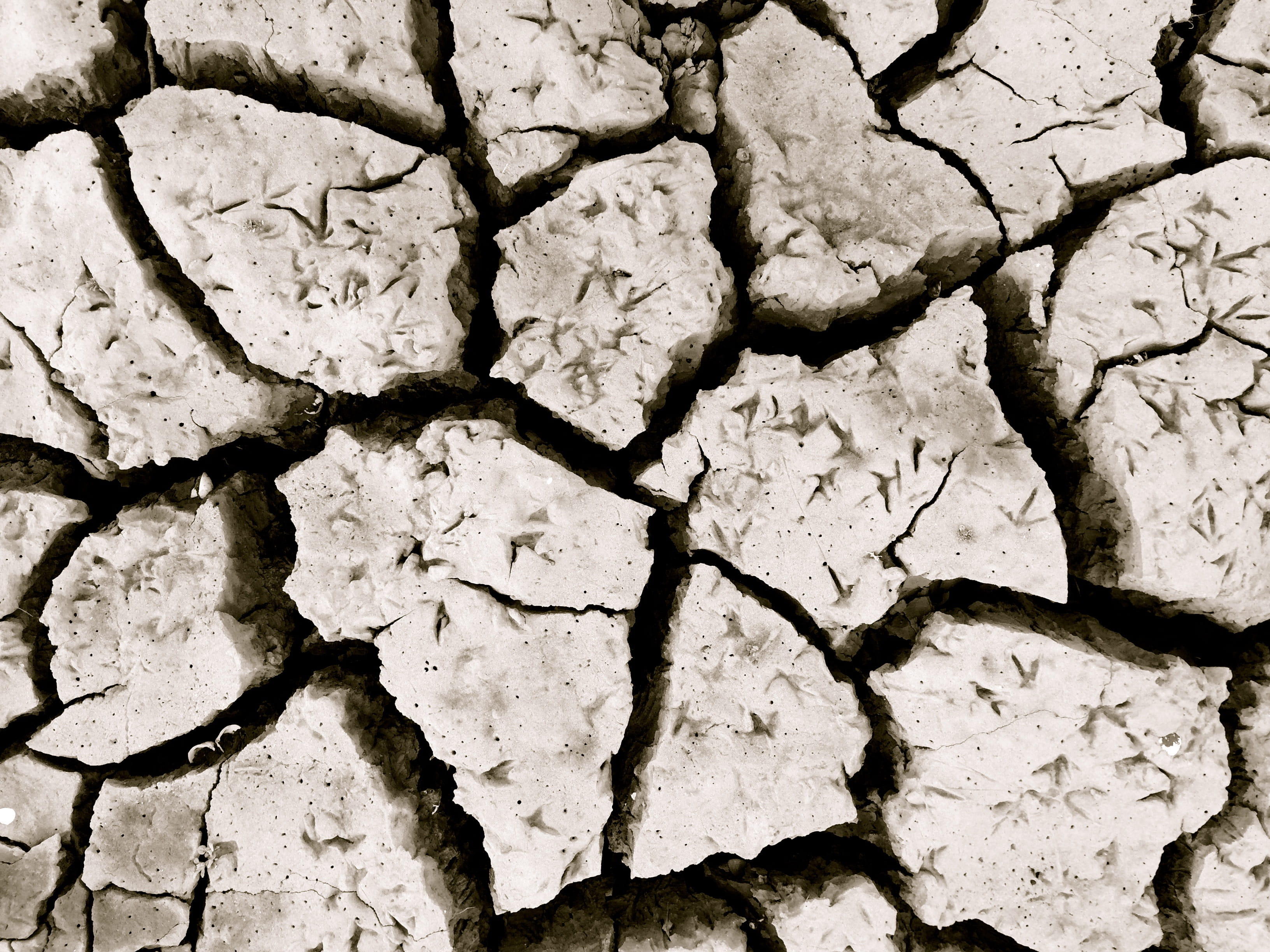 day, soil, field, nature, barren, heat - Temperature, brown, outdoors, scenics - nature, land, climate, breaking, Cracked, backgrounds, environment, abstract, HD Wallpaper