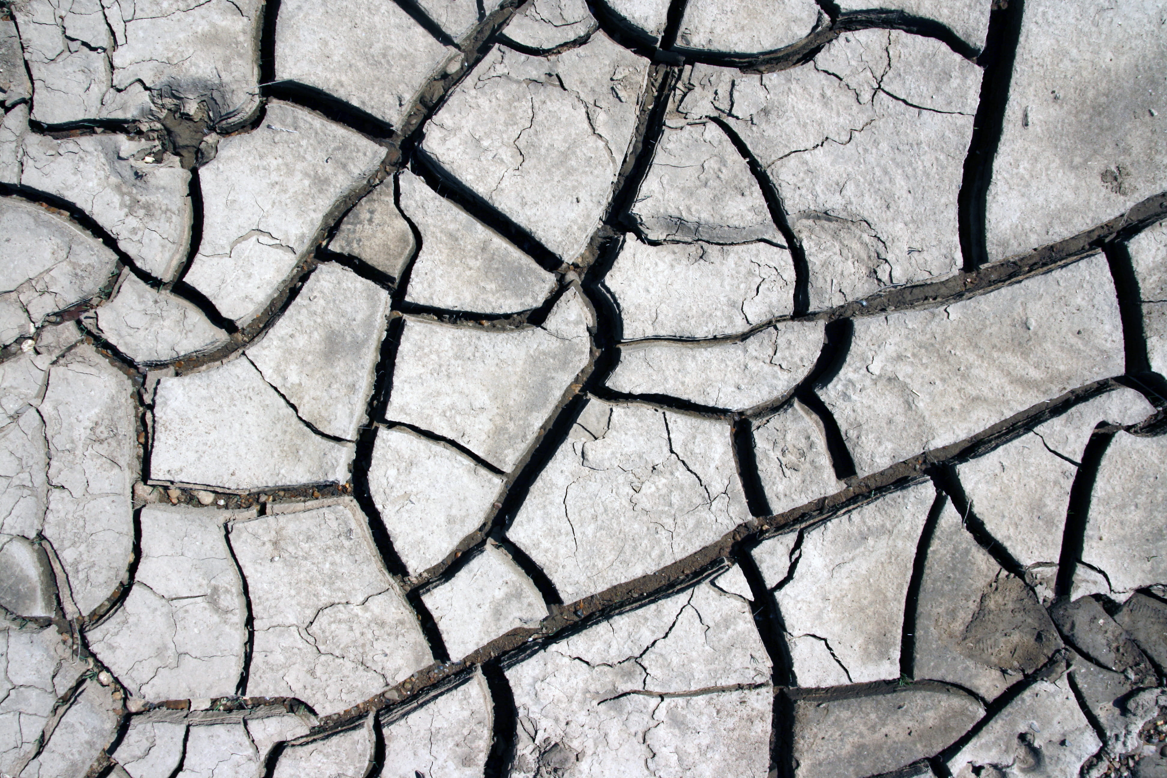 full frame, pattern, split, cleft, land, cracked, global, brown, day, nature, 4K, dirt, plant, natural, dust, backgrounds, no people, outdoors, natural pattern, HD Wallpaper