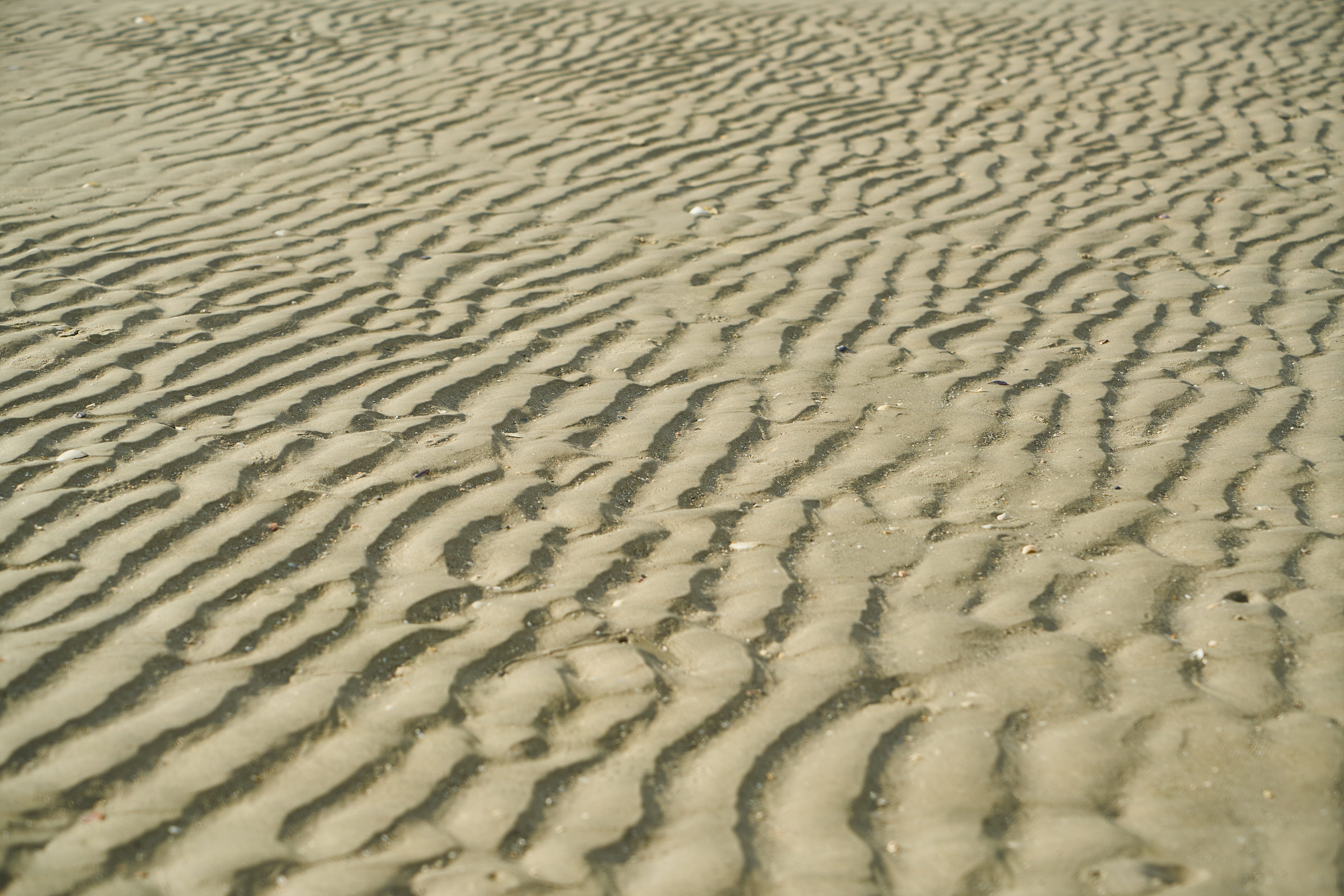 sand, full frame, detail, coastal, photography, coastline, wave pattern, sand dune, arid climate, global warming, cracked, light, terry, natural pattern, HD Wallpaper