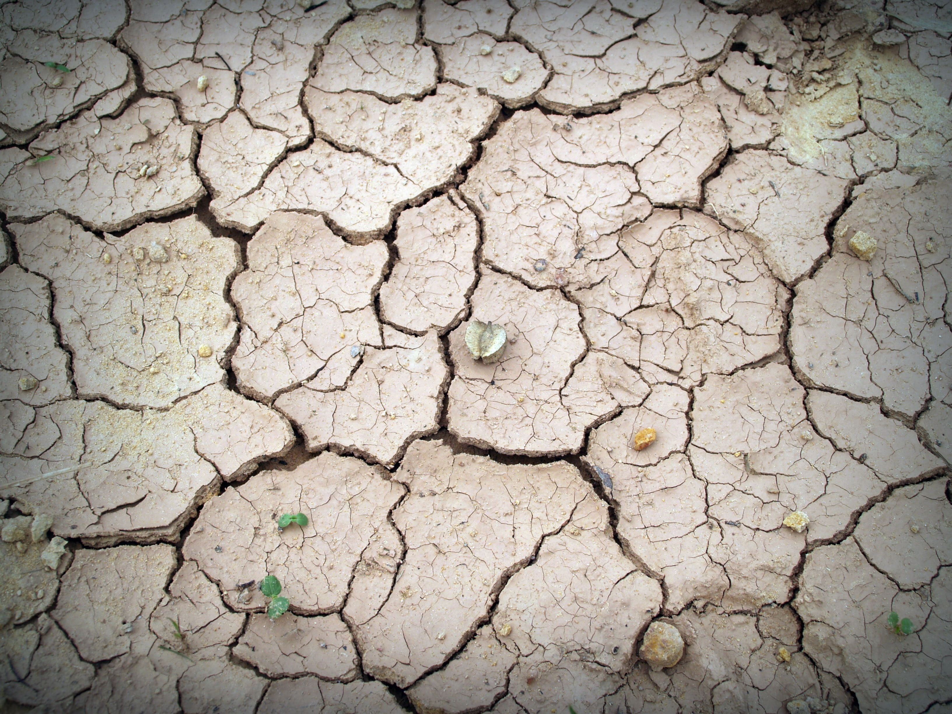 dry, crack, clay, background, natural pattern, split, summer, dirt, land, field, drought, no people, day, outdoors, broken, scenics - nature, dryness, terrain, HD Wallpaper