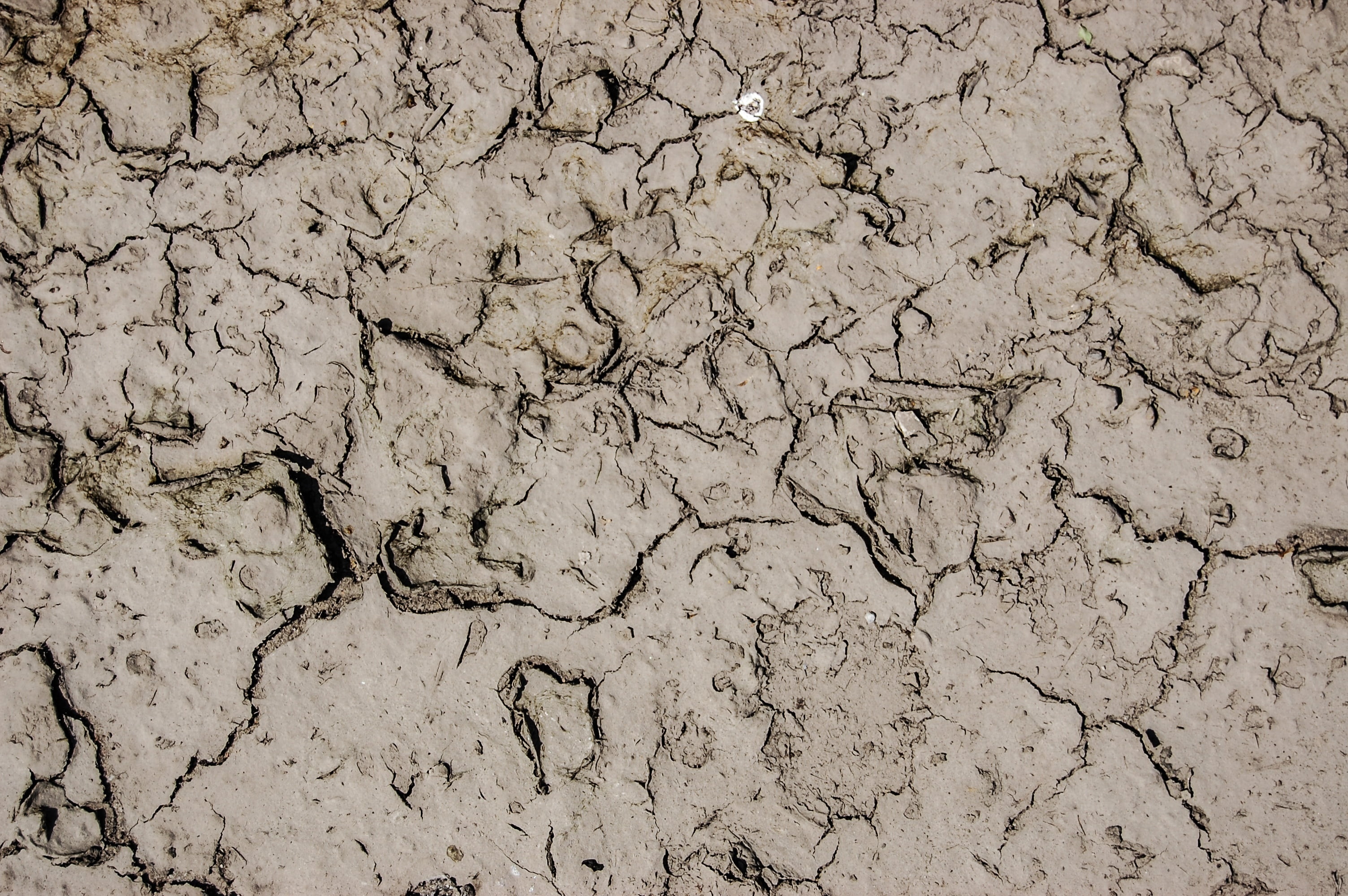 backgrounds, day, textured effect, the background, land, outdoors, dry, dirty, no people, heat - Temperature, 2K, warming Up, textured, desert, clay, barren, HD Wallpaper