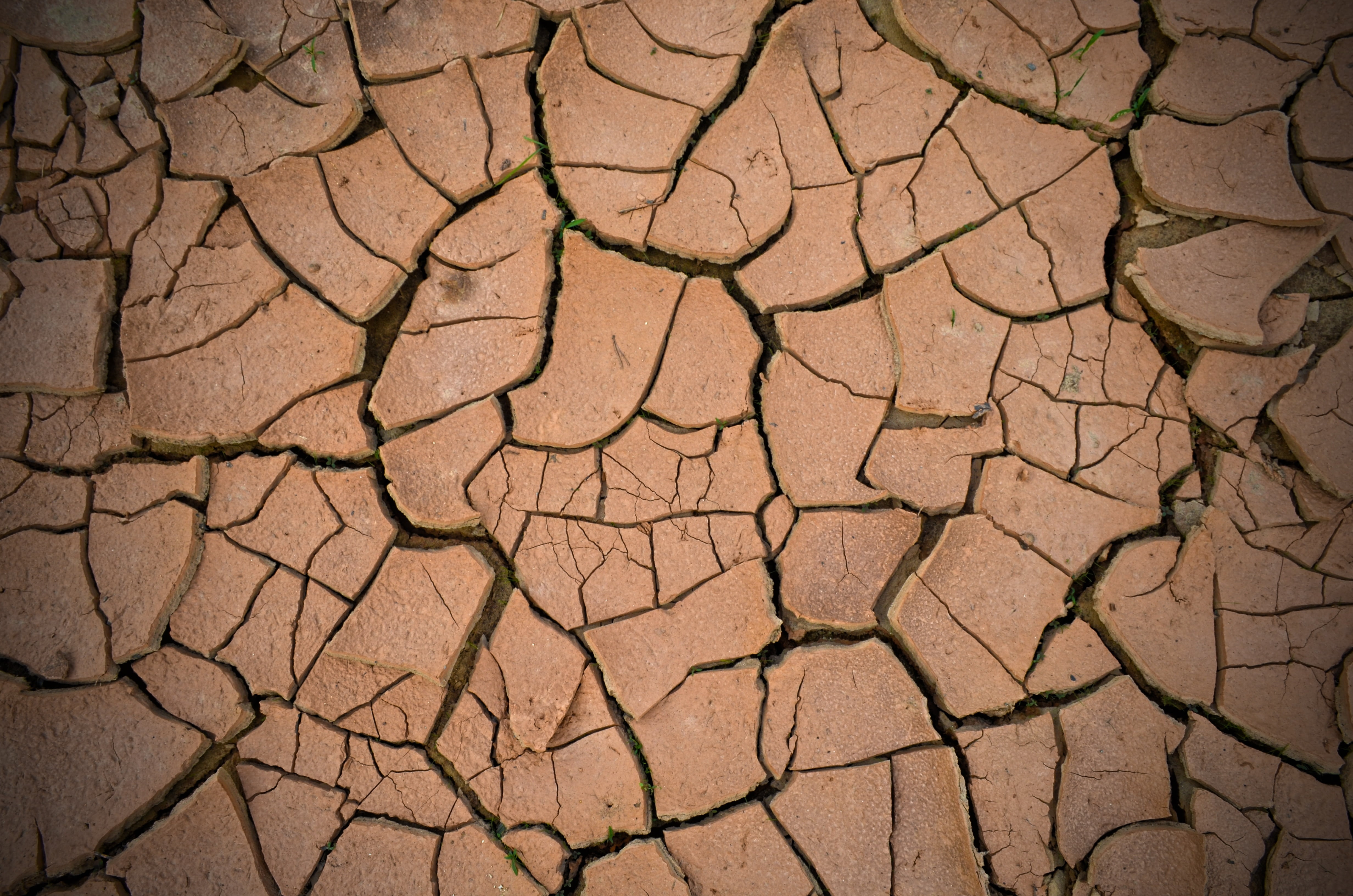 backgrounds, natural pattern, no people, drought, dirt, desert, mud, ground, natural Disaster, cracked, textured, barren, 4K, day, arid Climate, clay, HD Wallpaper