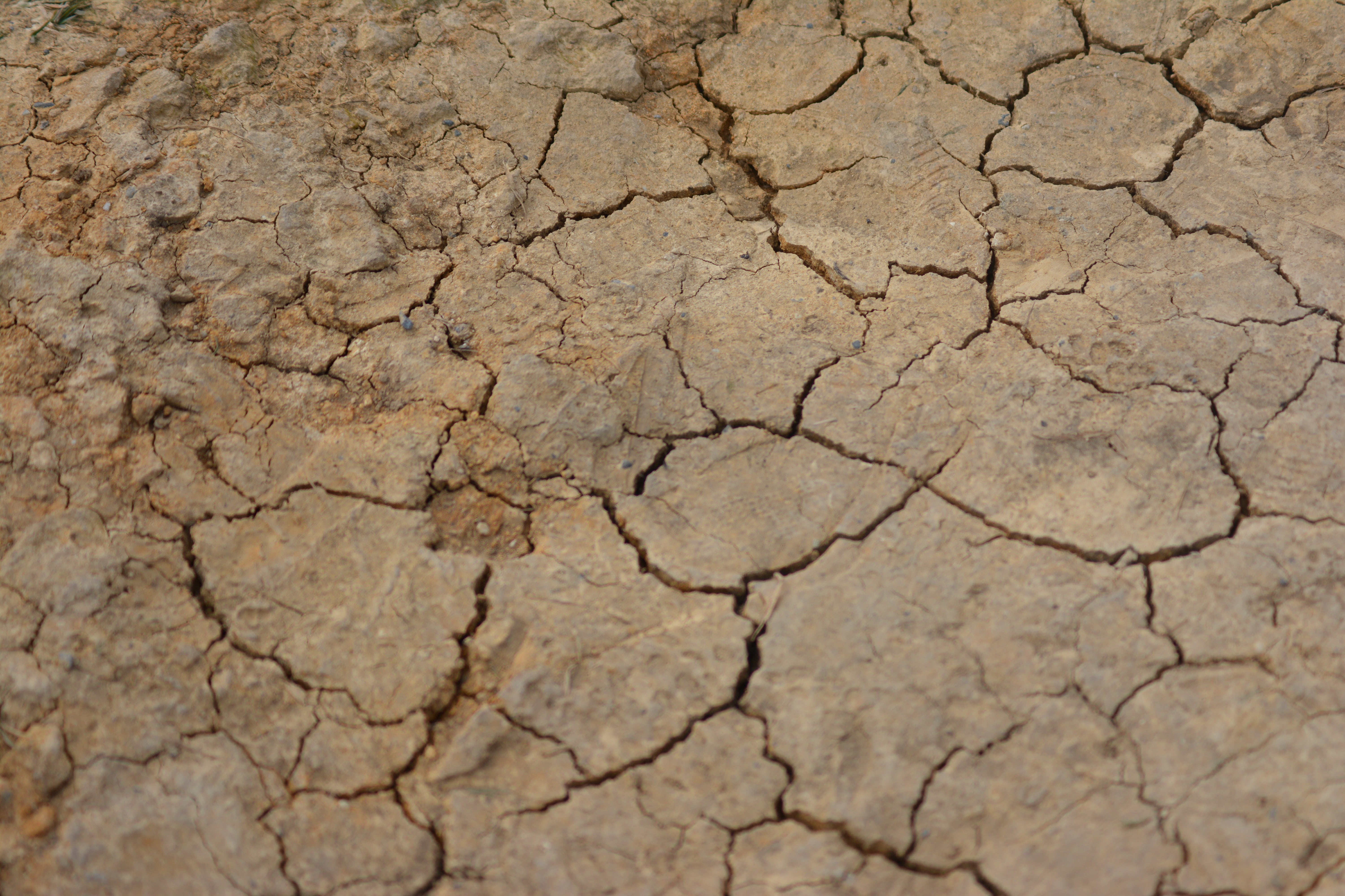 full frame, land, textured effect, natural Disaster, backgrounds, effect, mud, scenics - nature, heat - Temperature, cracked, extreme terrain, day, pattern, HD Wallpaper