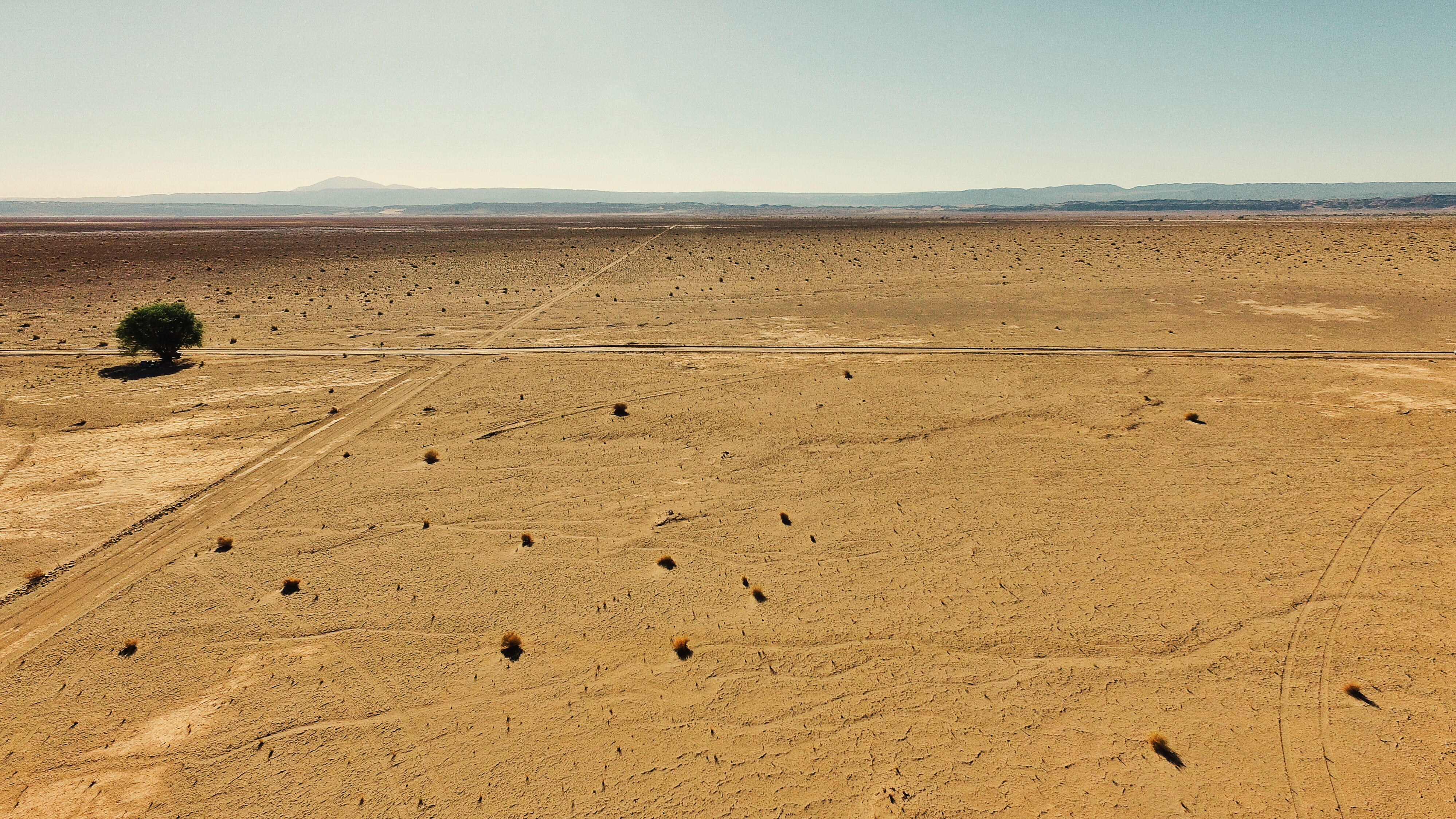climate, land, landscape, arid climate, s, tranquil scene, clear sky, bird, dune, footprint, eye, outdoors, deserted, atmospheric, sky, sand, environment, HD Wallpaper