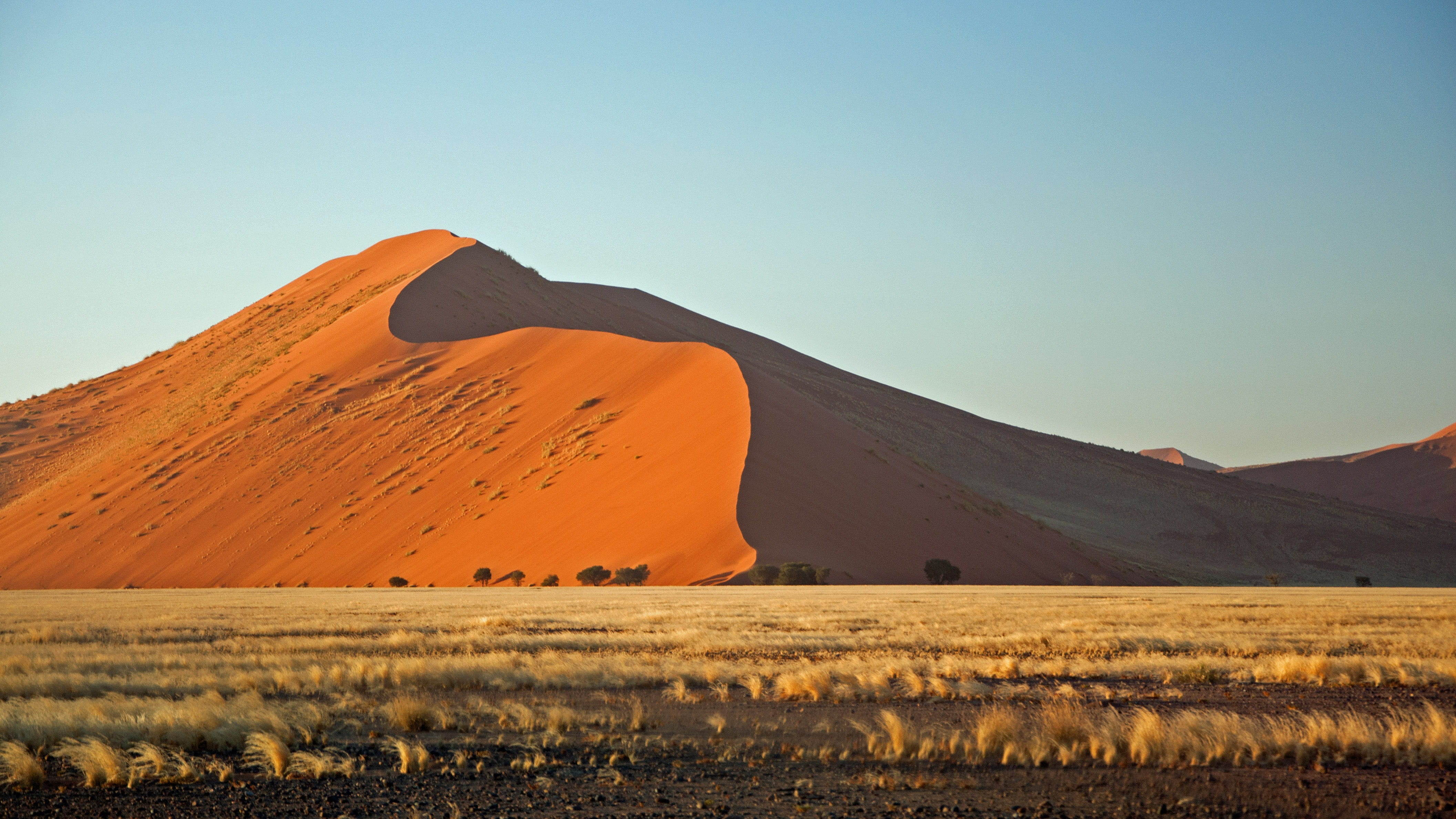 scenics - nature, tranquility, africa, sand dunes, nature, plant, remote, clear sky, arid climate, sossusvlei, landscape, deadvlei, red, sand, beauty in nature, HD Wallpaper