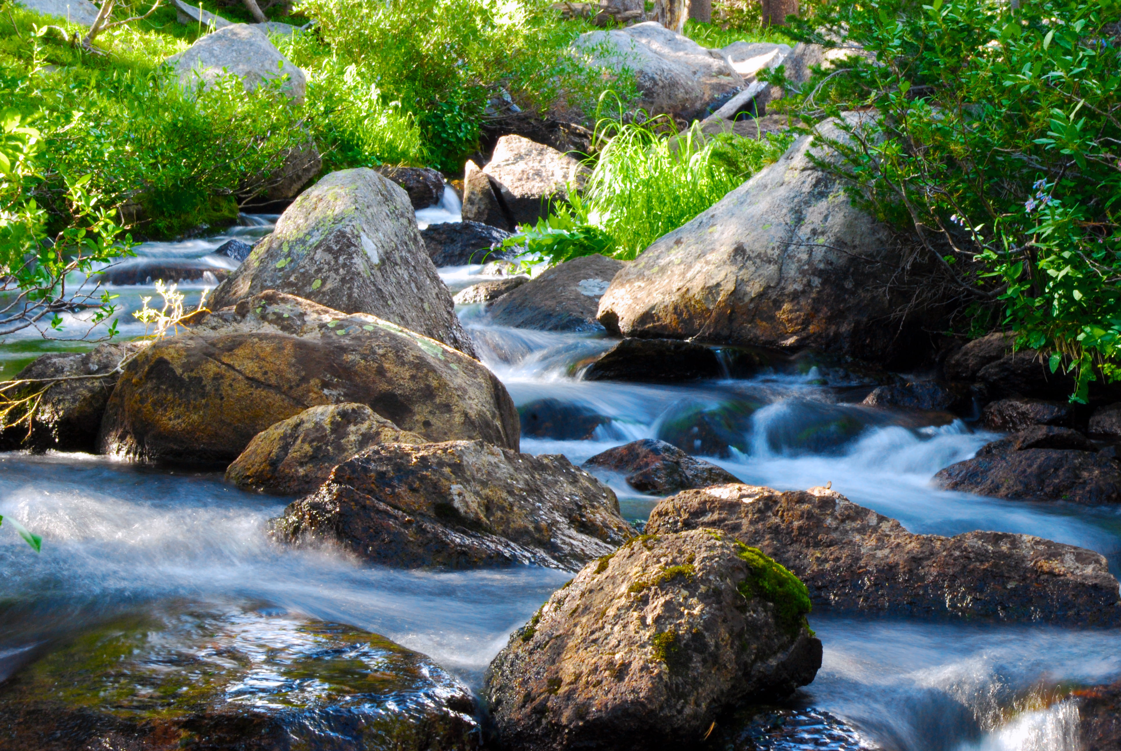 rock - Object, Wind River, freshness, green, photo, outdoors, river, water, forest, nature, waterfall, landscape, wind, Stream, wind  river, tree, shrubs, HD Wallpaper
